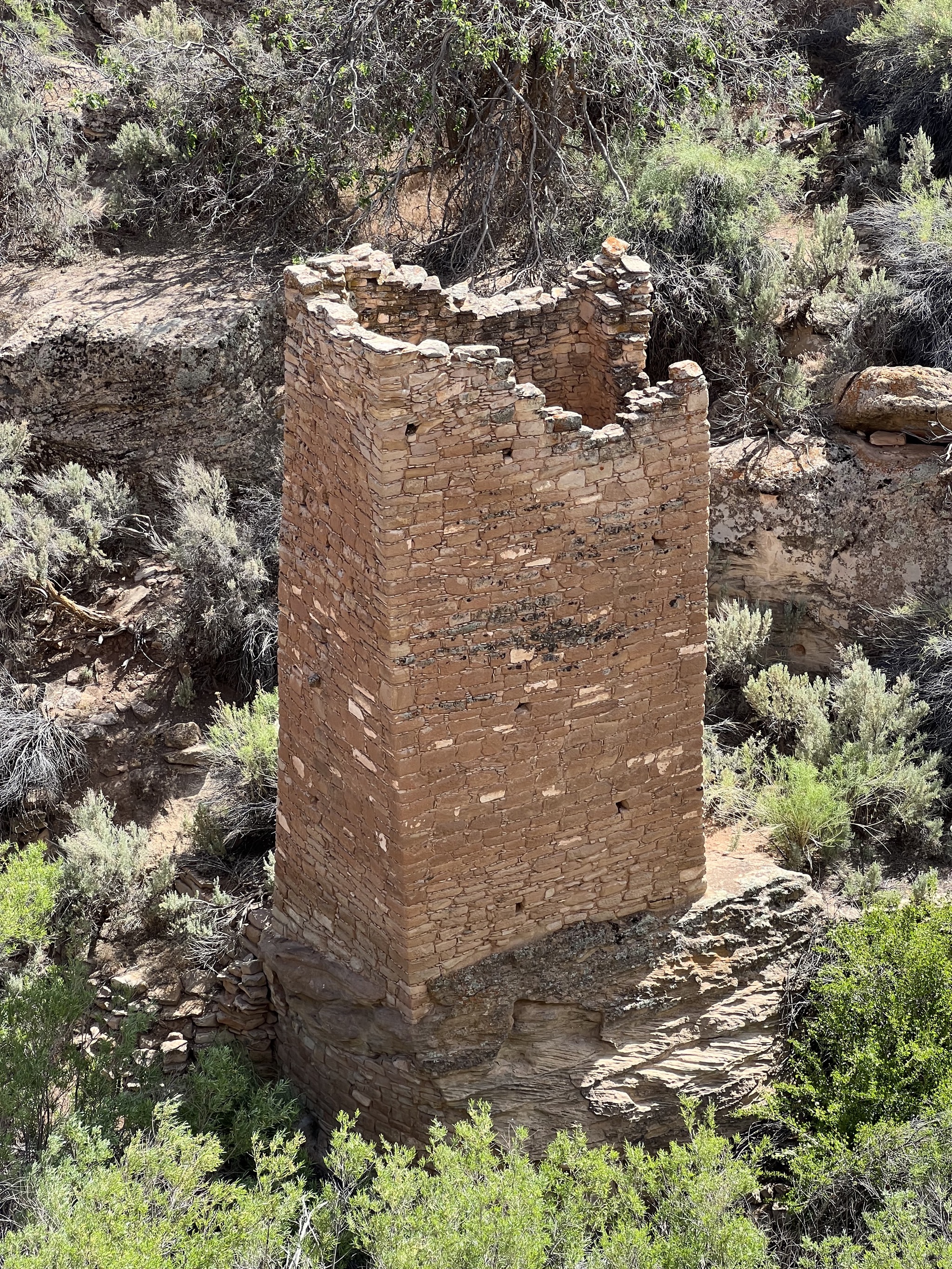 Tower