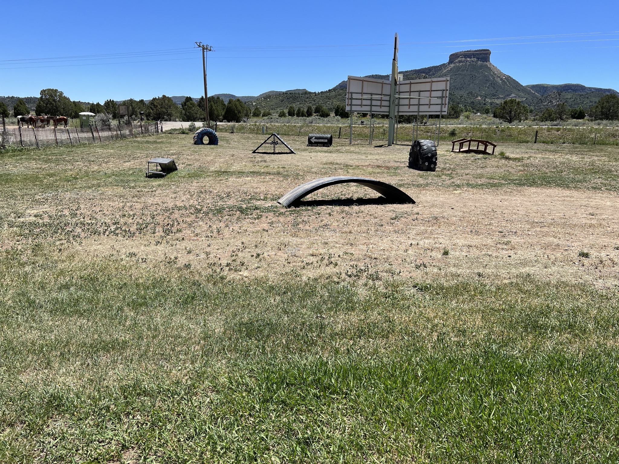 Dog park