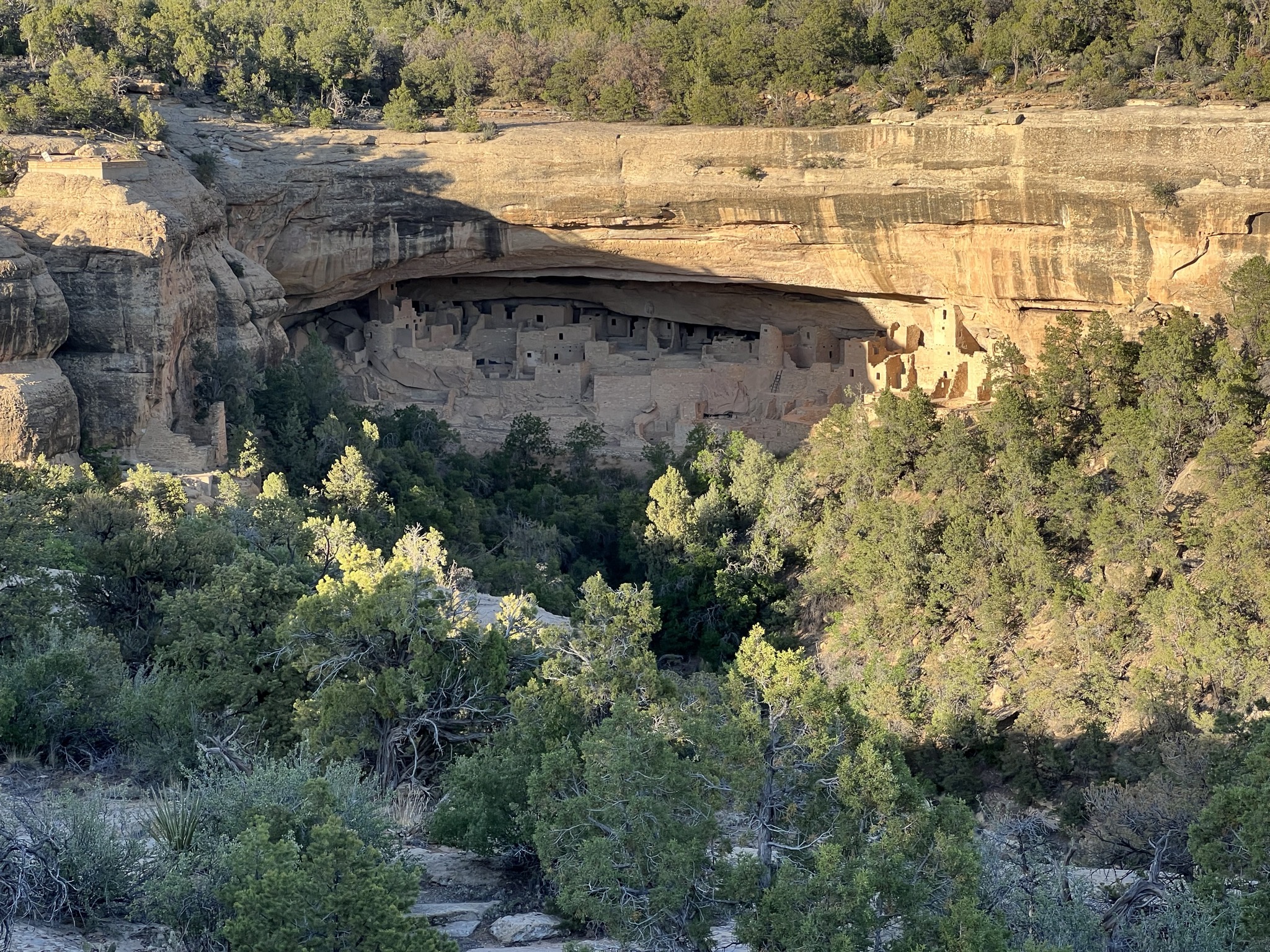 Cliff Palace
