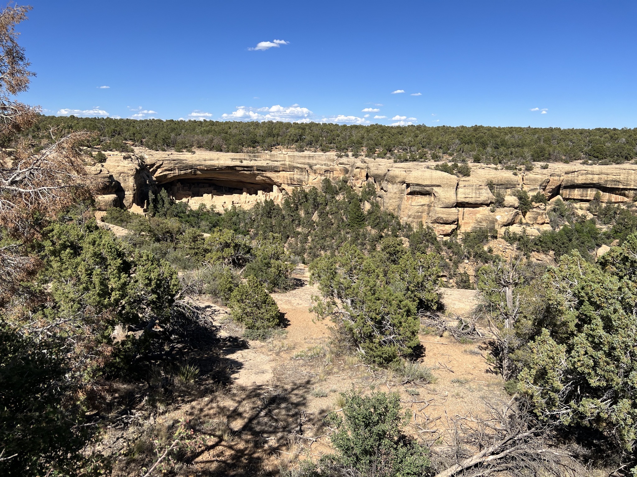 Cliff Palace