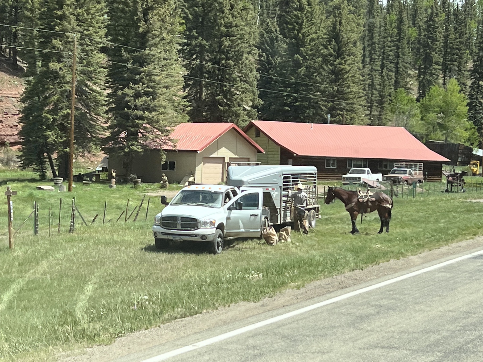Horse