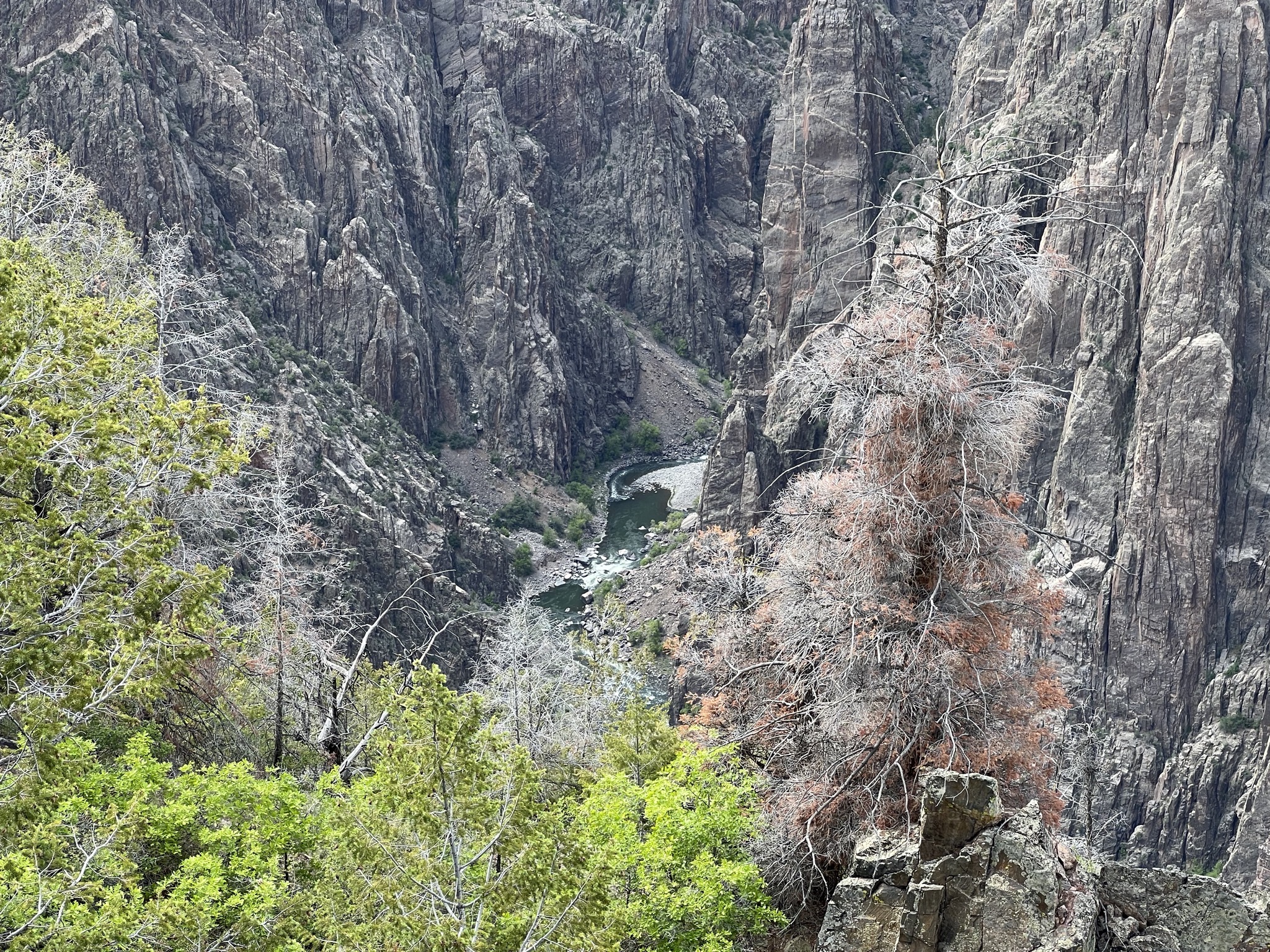Canyon
