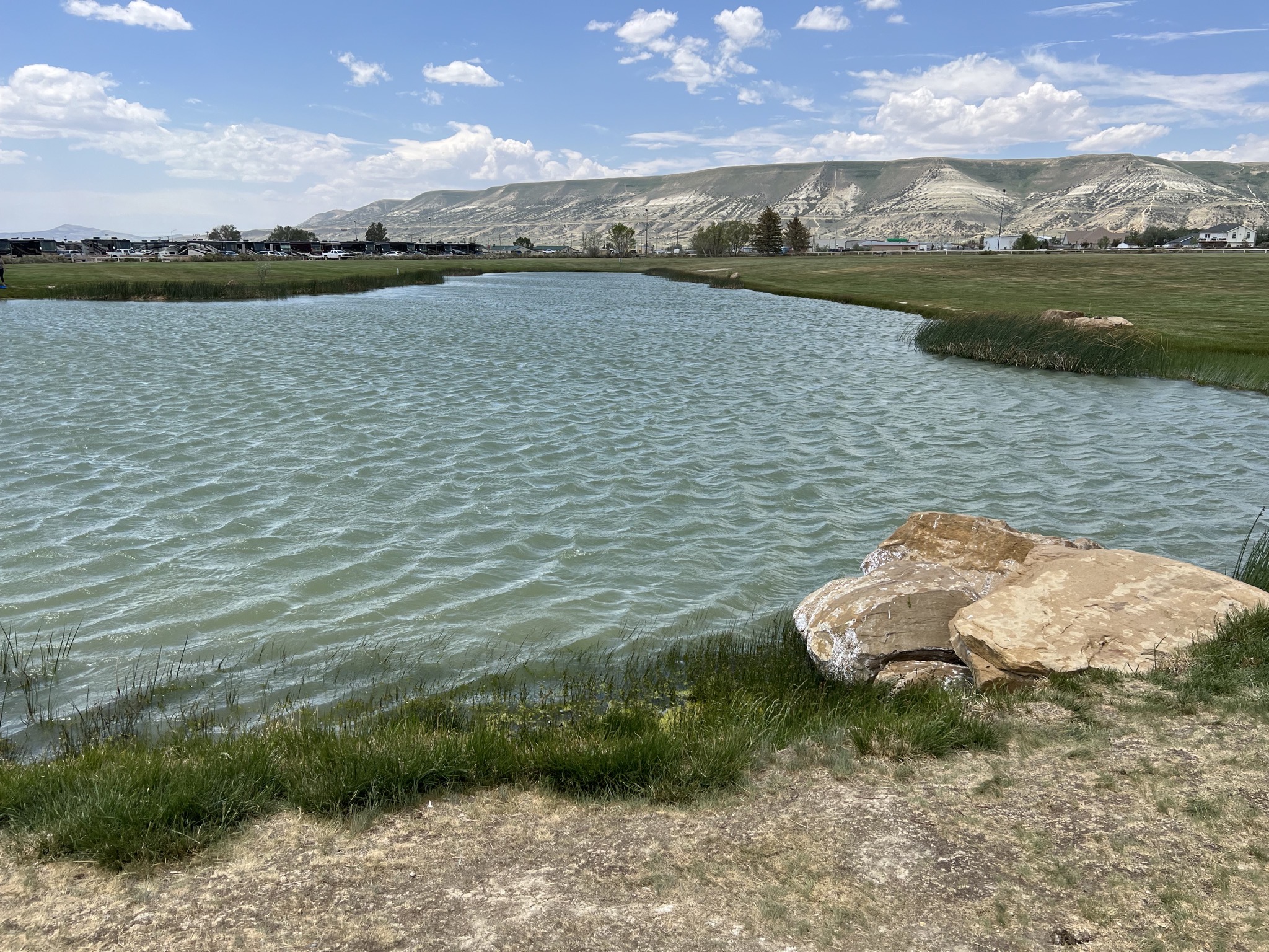 Pond
