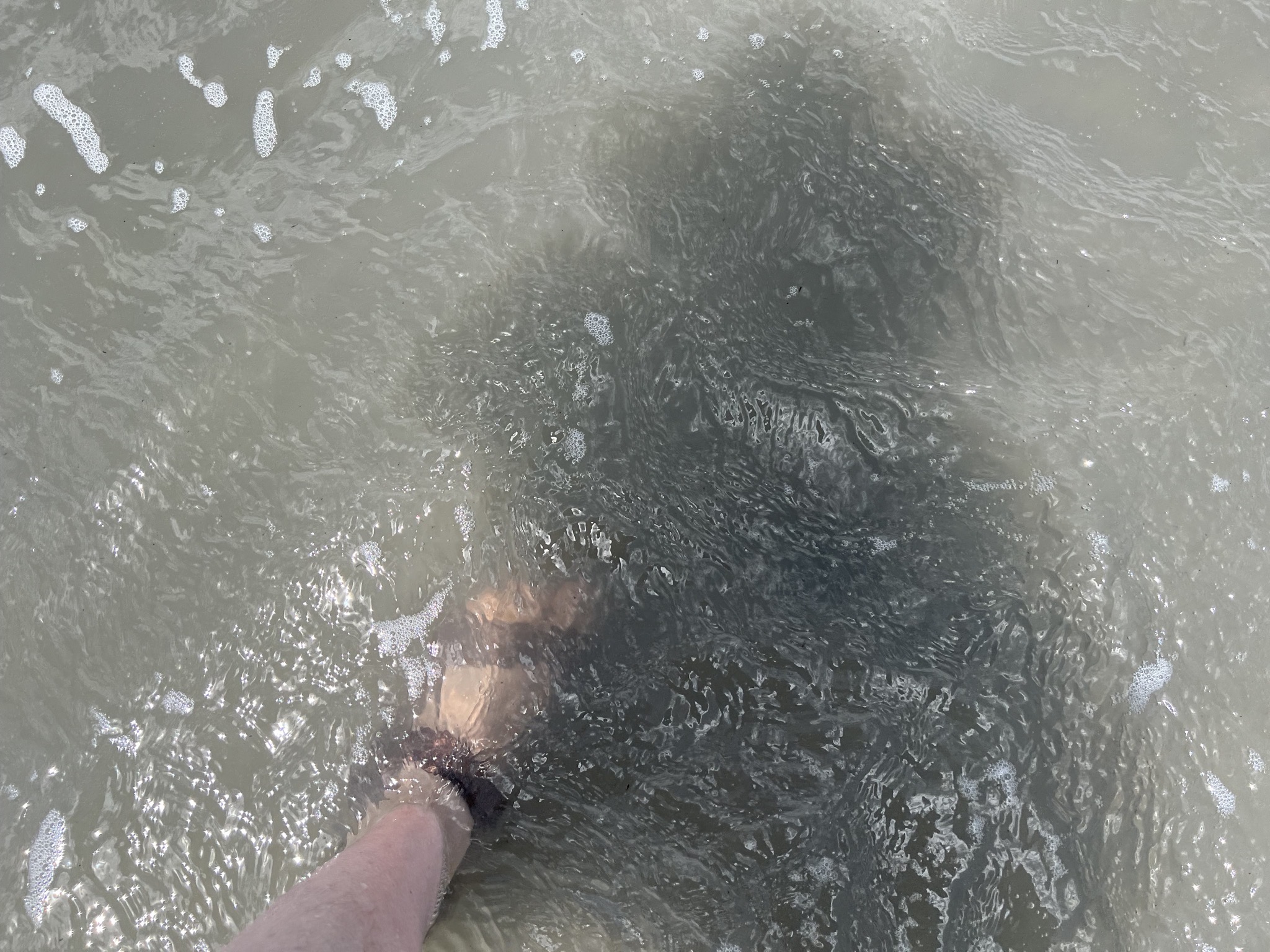 Great Salt Lake
