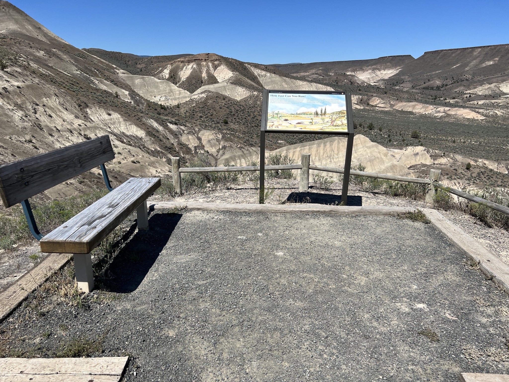 Viewpoint