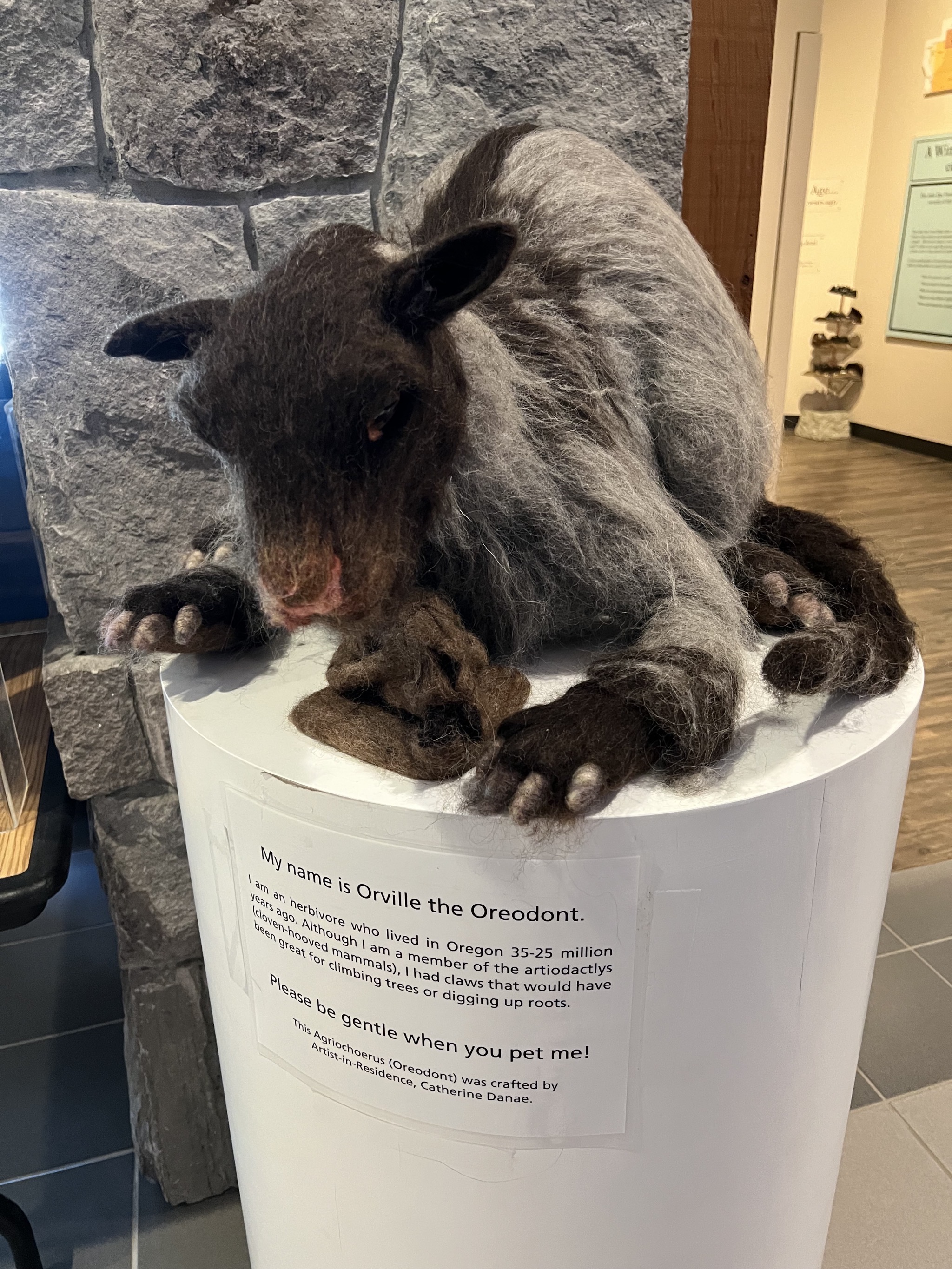 Orville the Oreodont