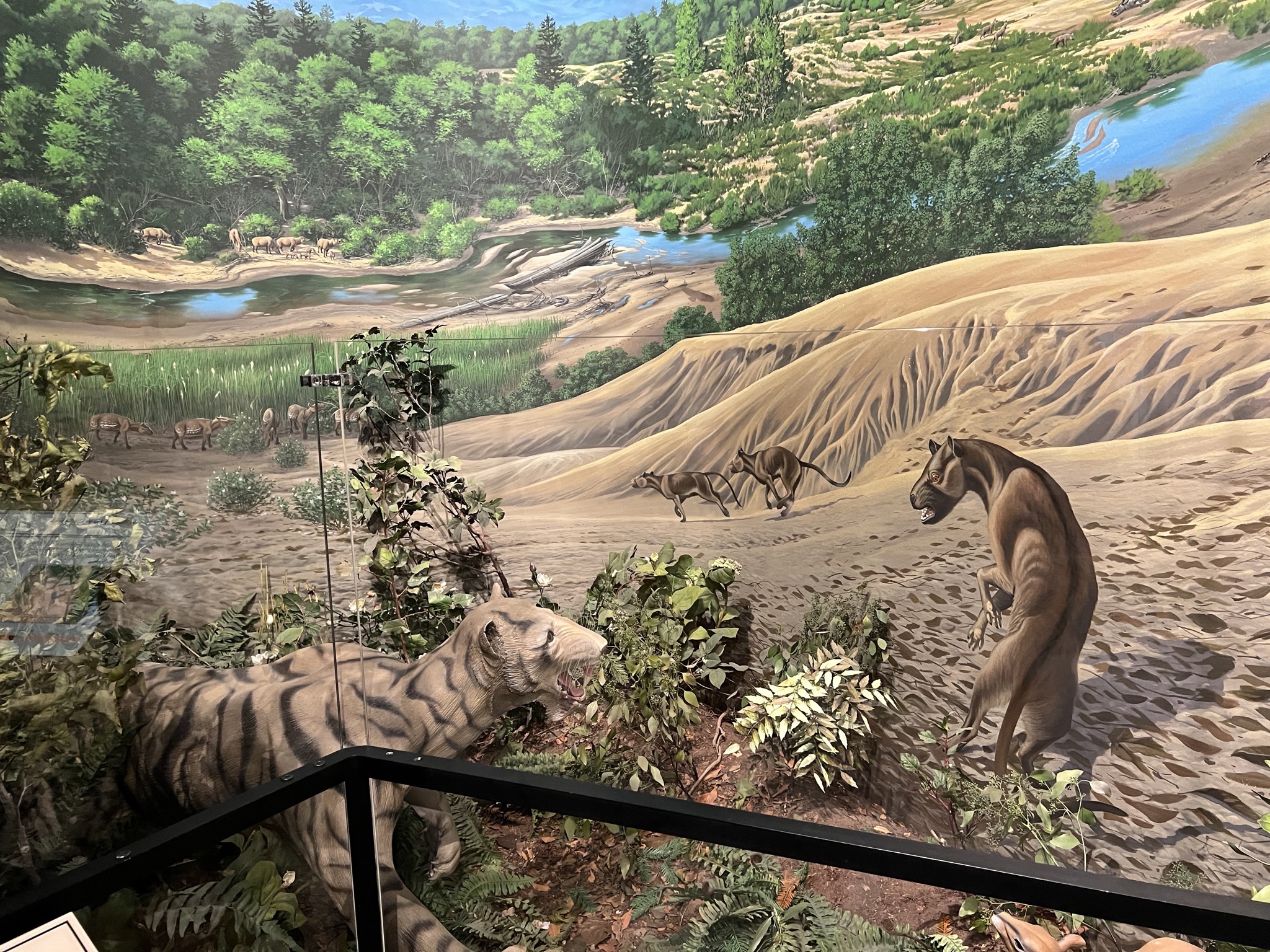 Visitor center