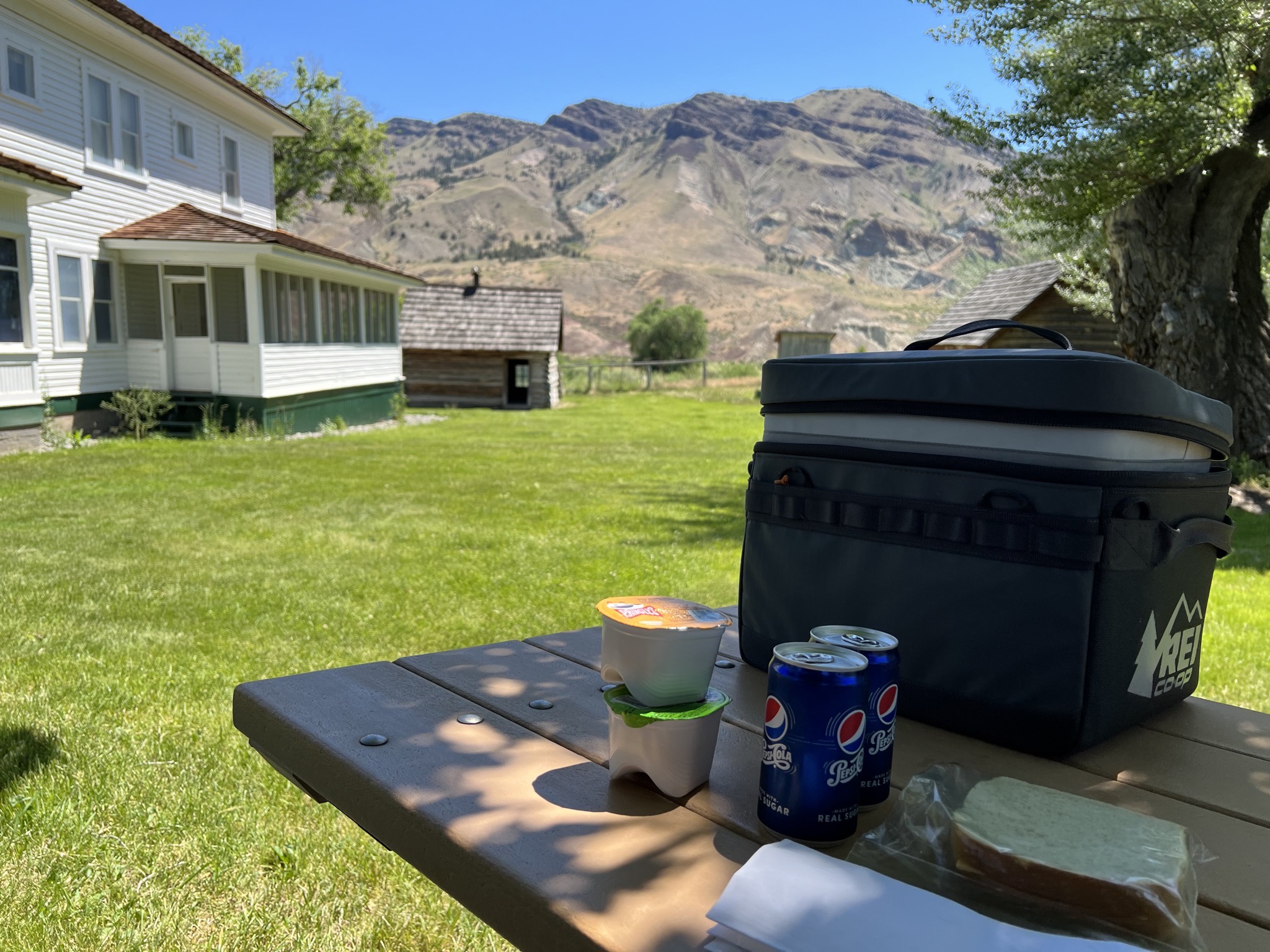 Picnic
