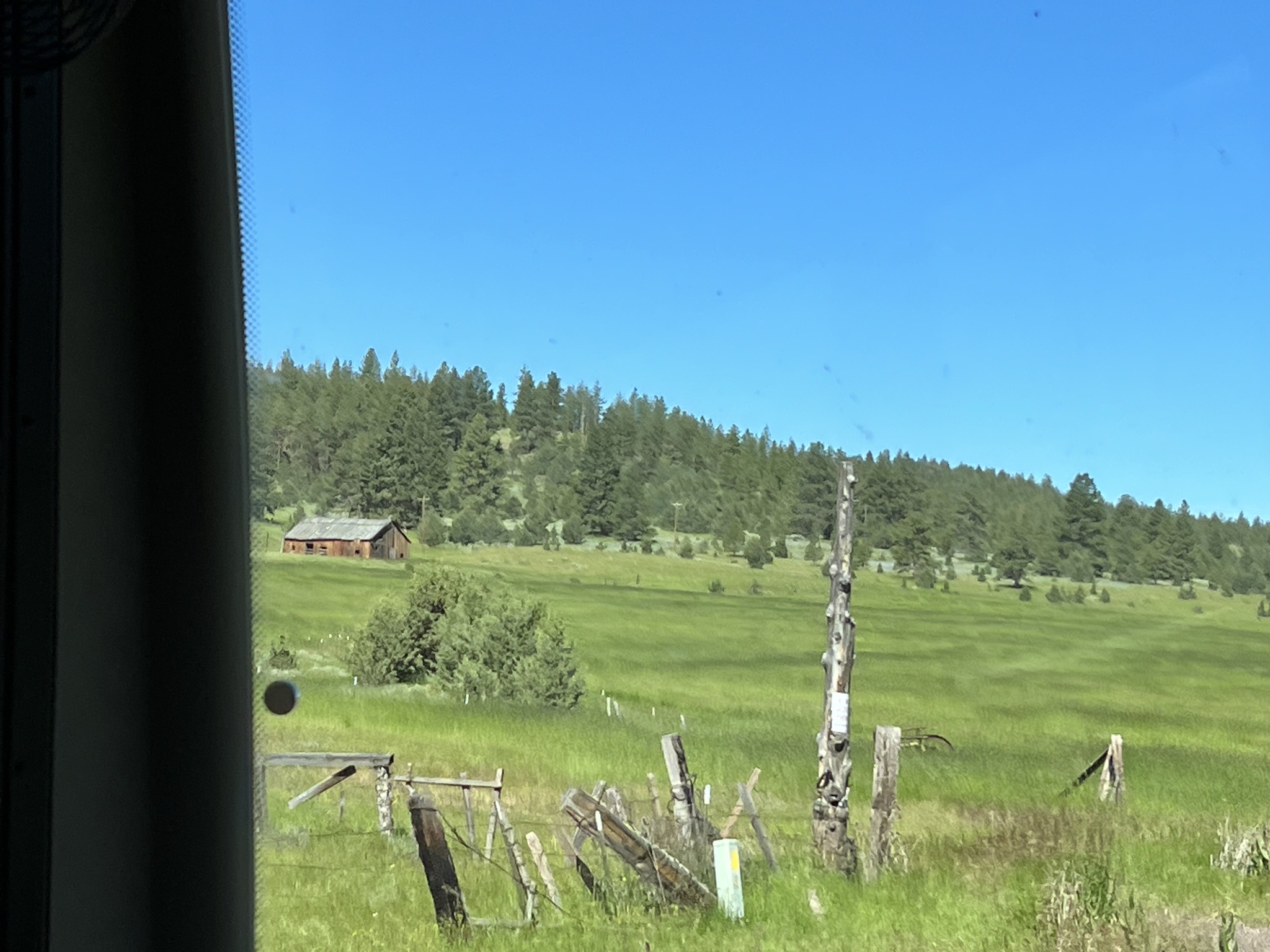 Meadow