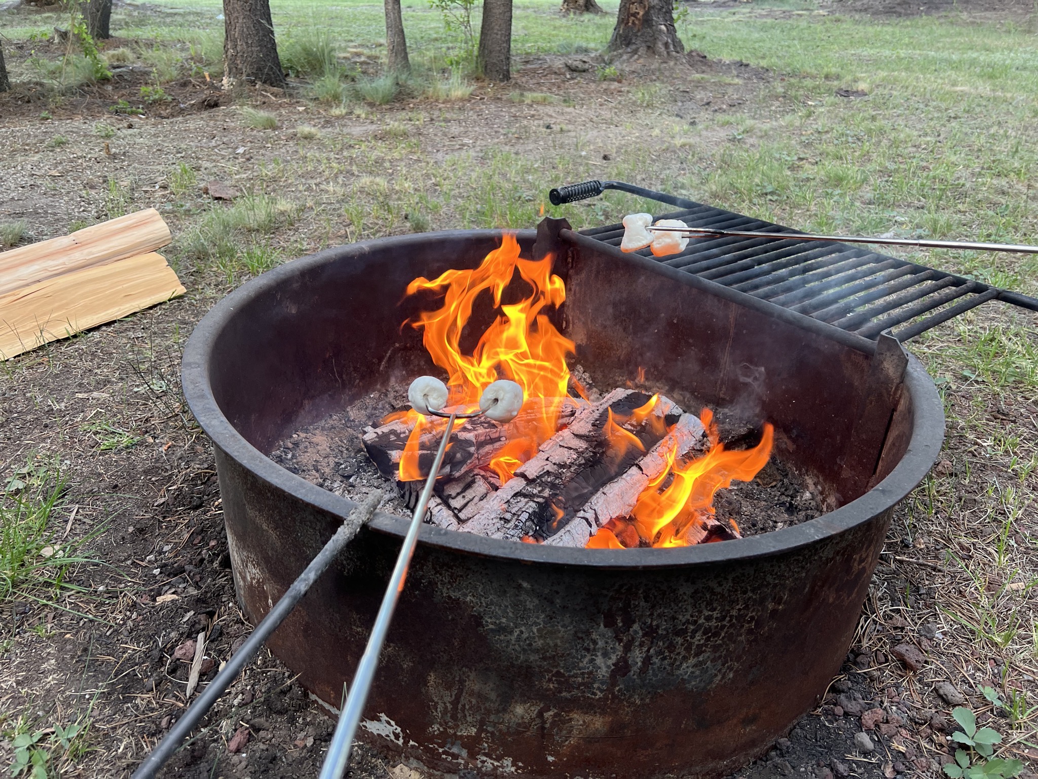 Toasting marshmallows