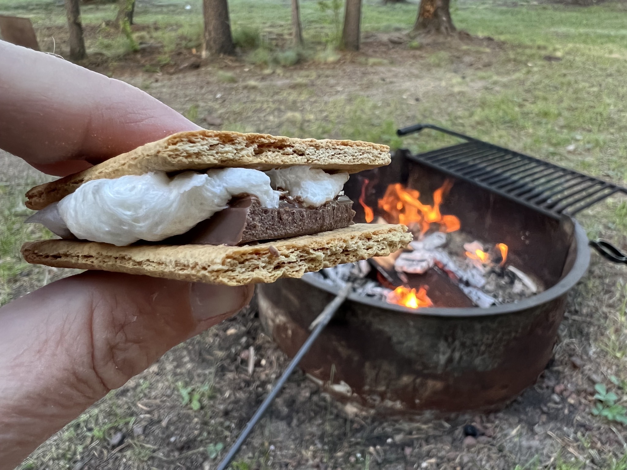 S'mores
