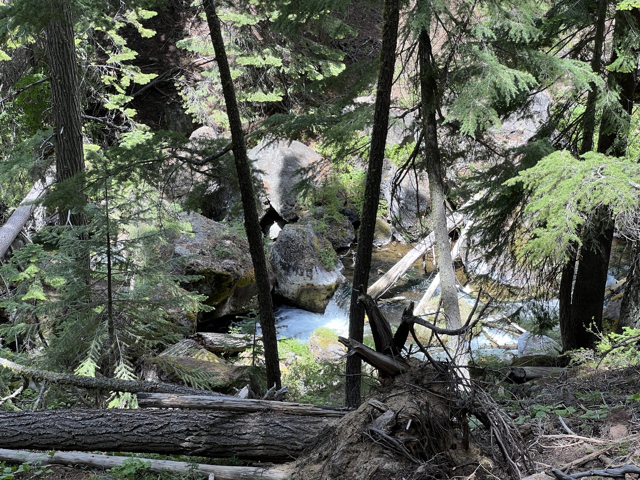 Paulina Falls hike