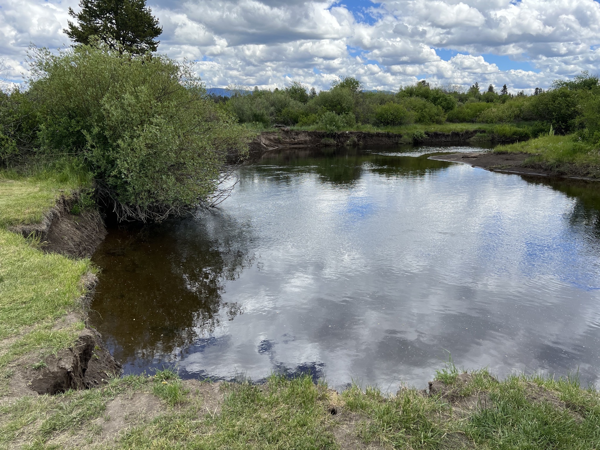 Little Deschutes River