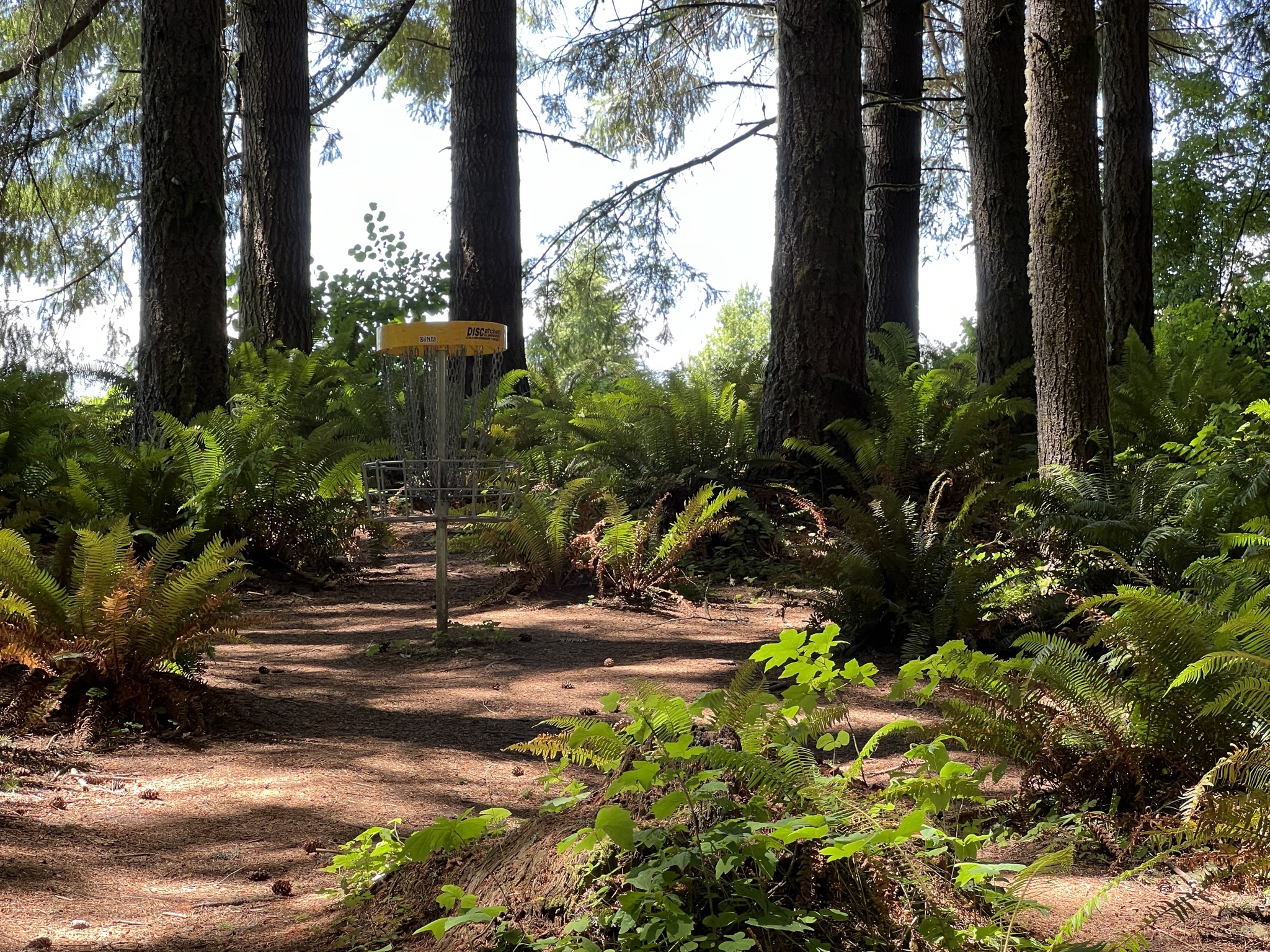 Disc golf course
