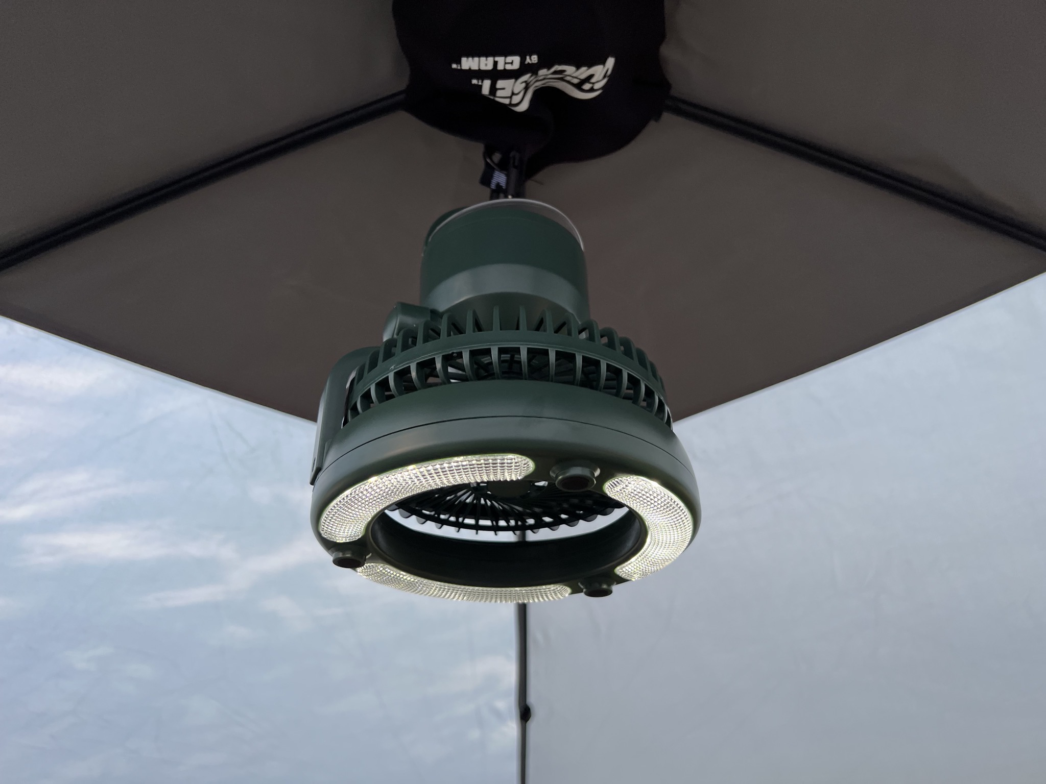 Light and fan