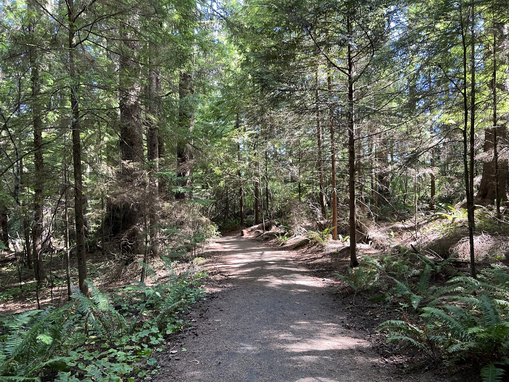 Trail
