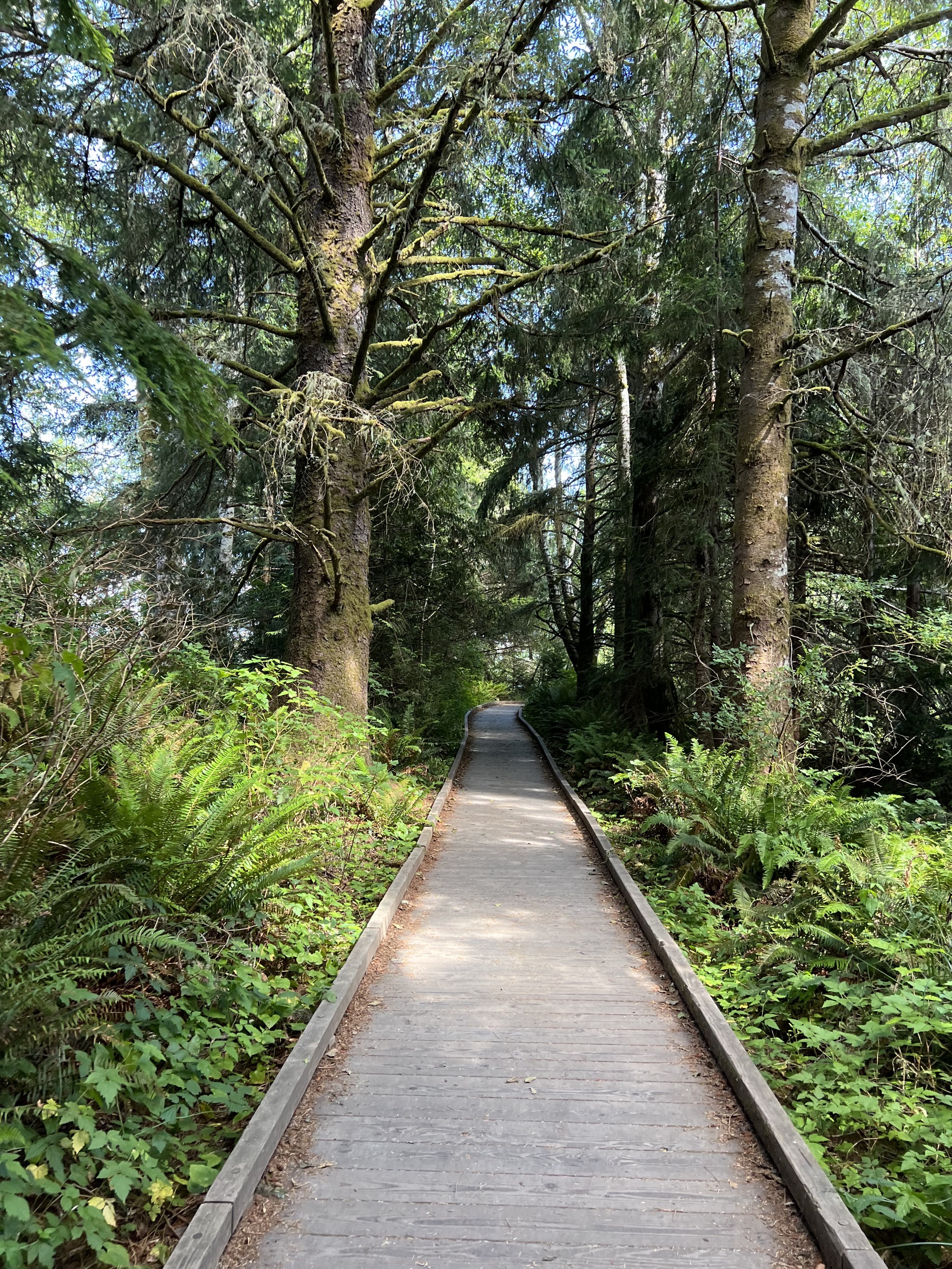 Trail