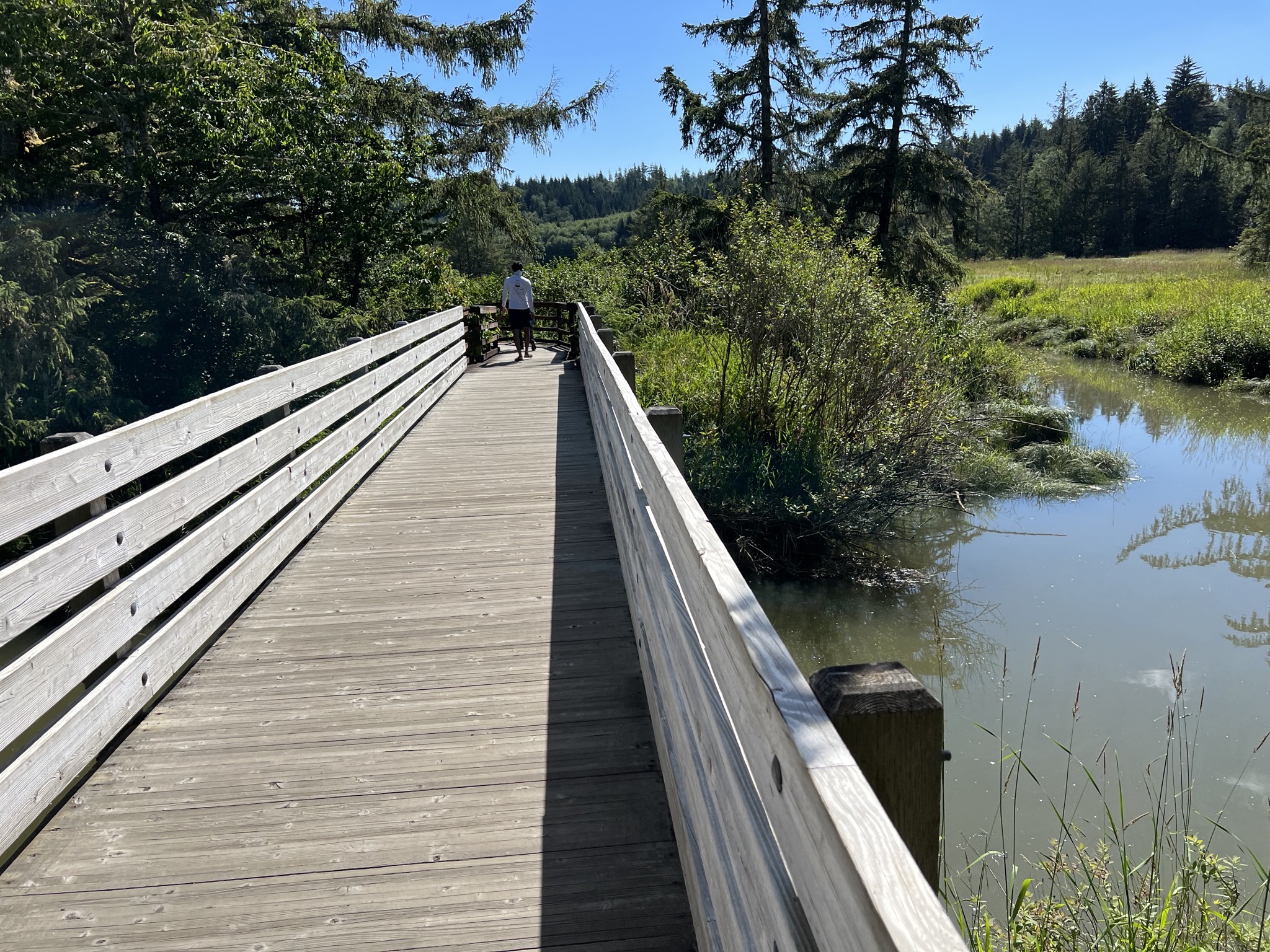 Trail