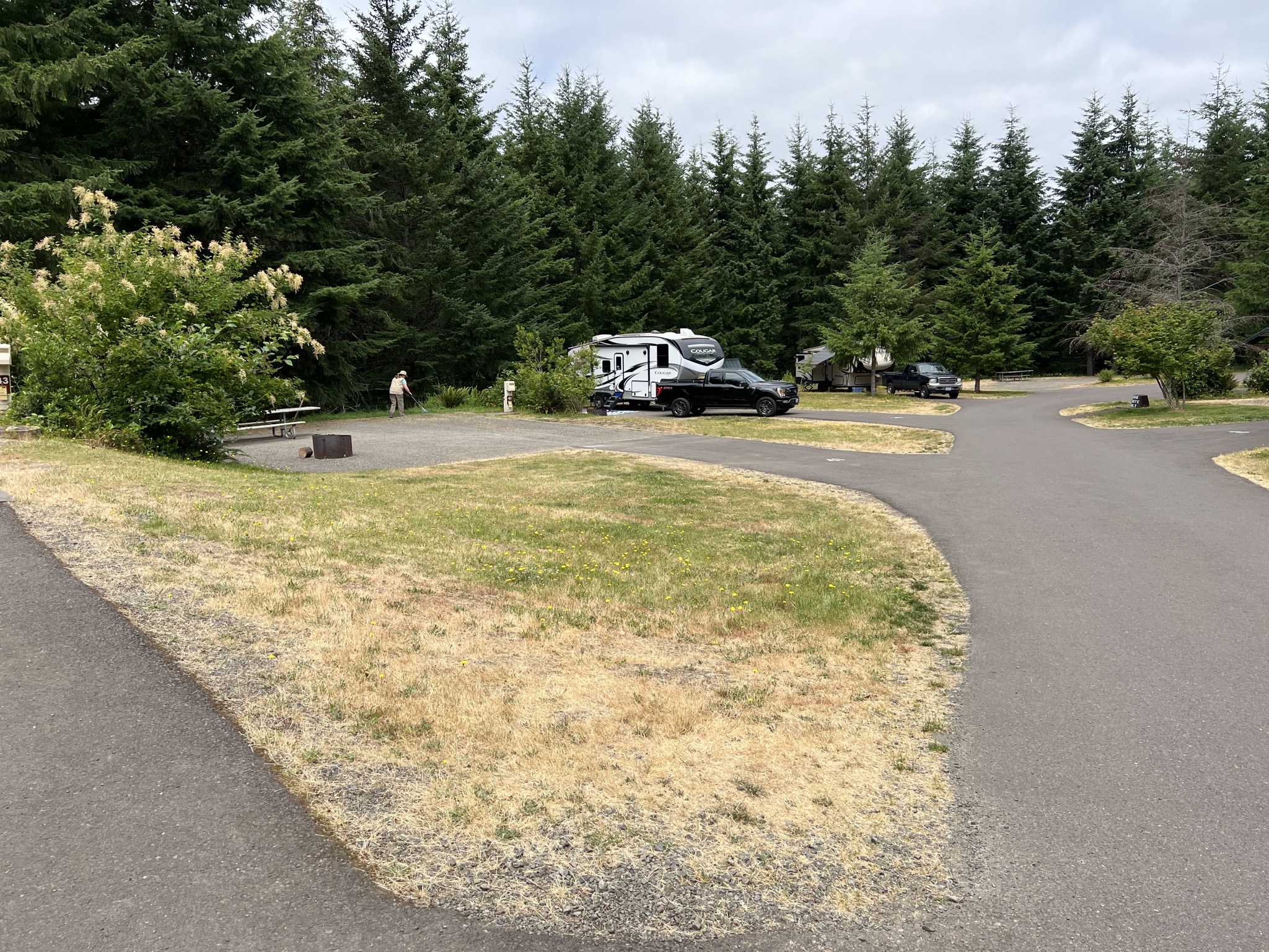 Site 41