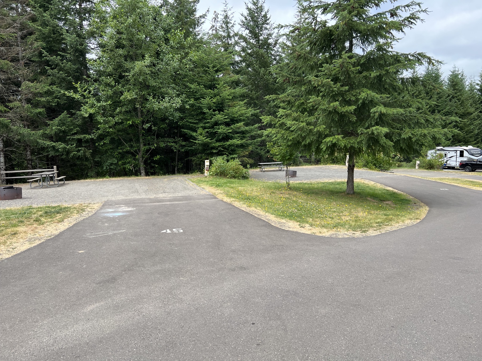 Site 45