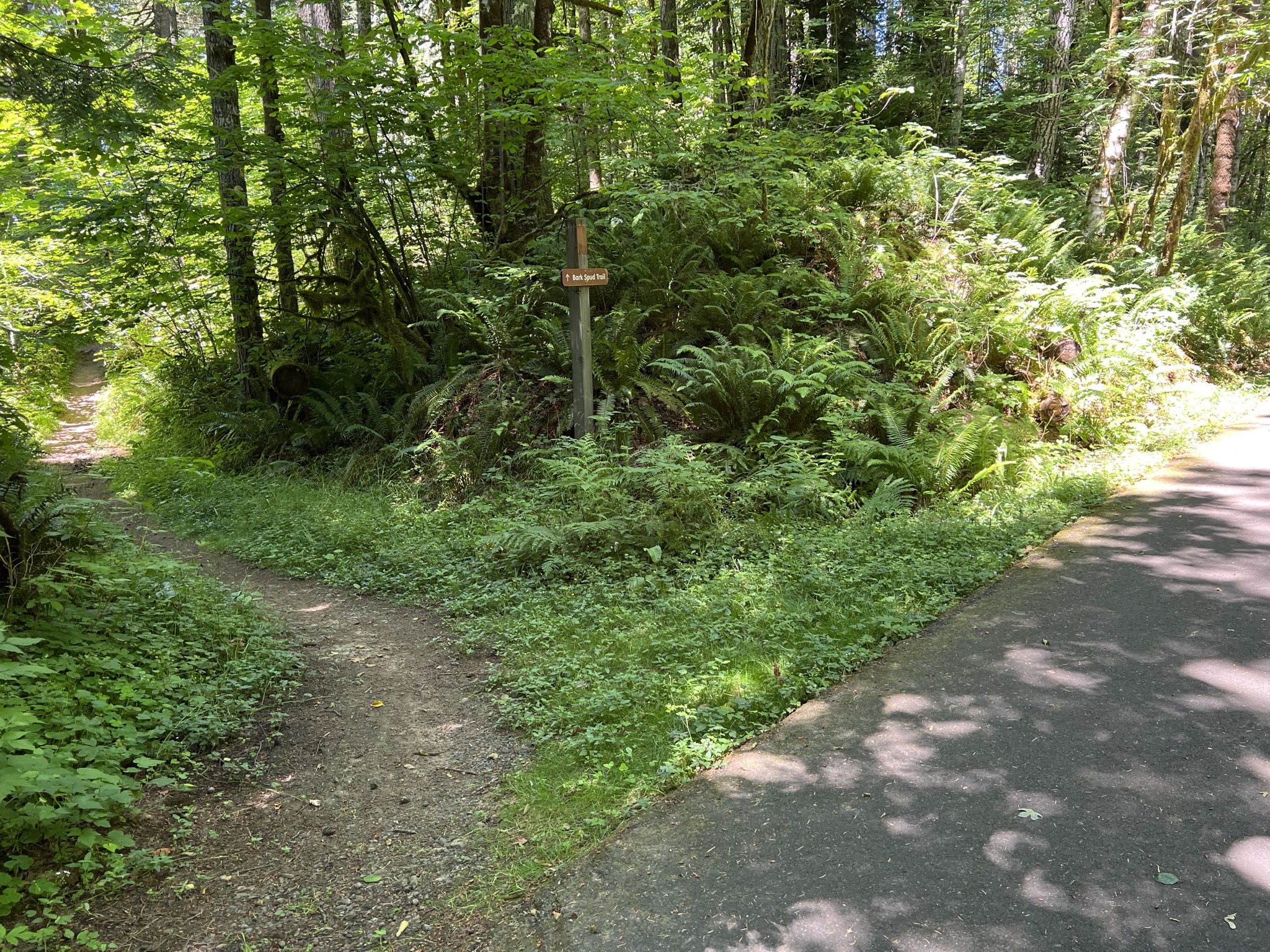 Banks-Vernonia State Trail