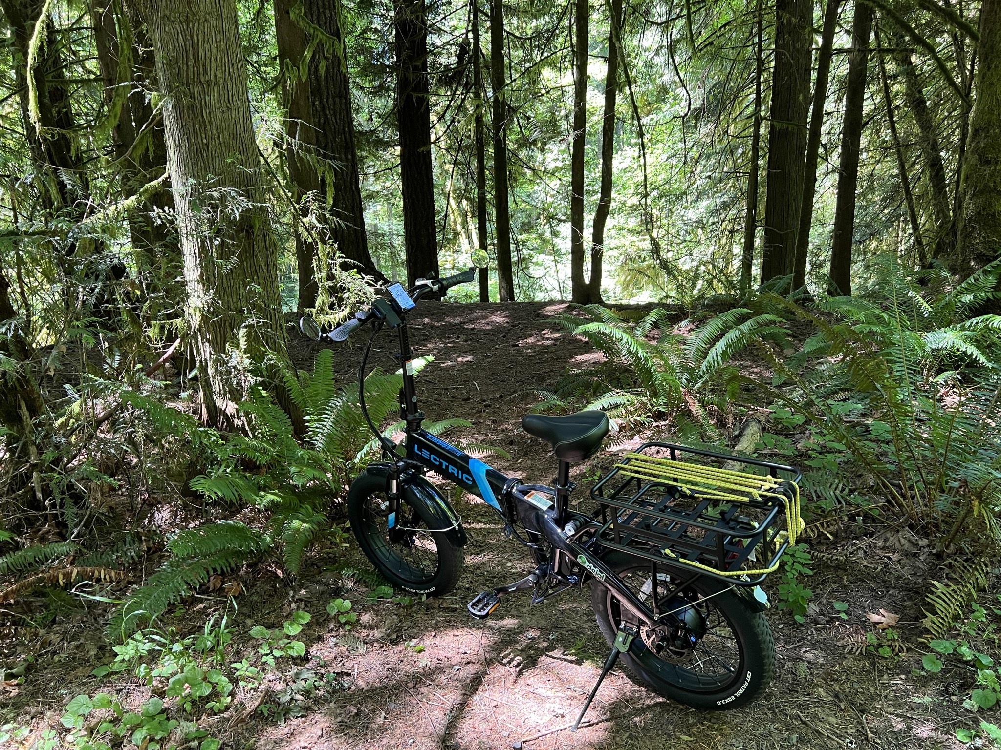 Banks-Vernonia State Trail