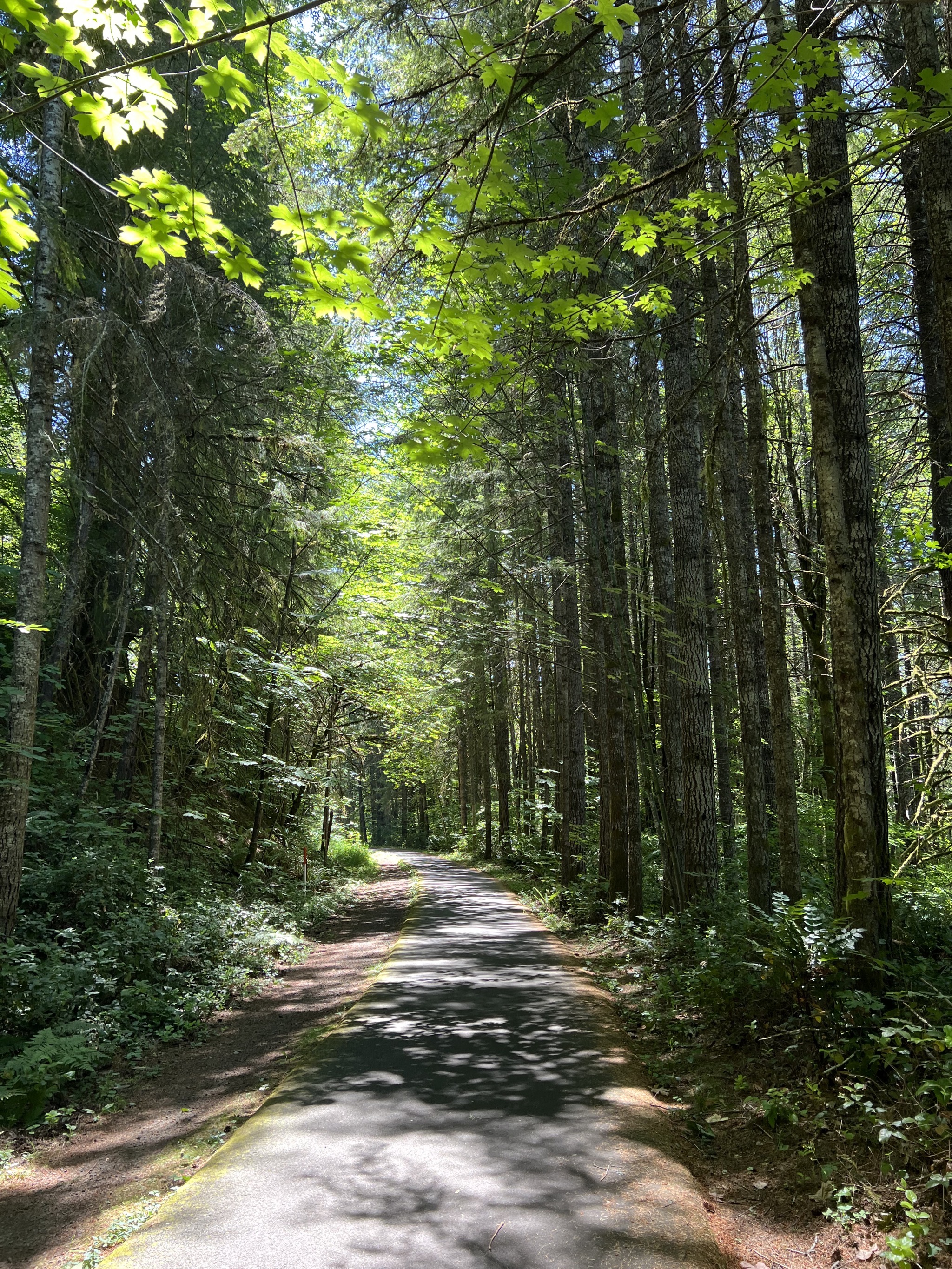 Banks-Vernonia State Trail
