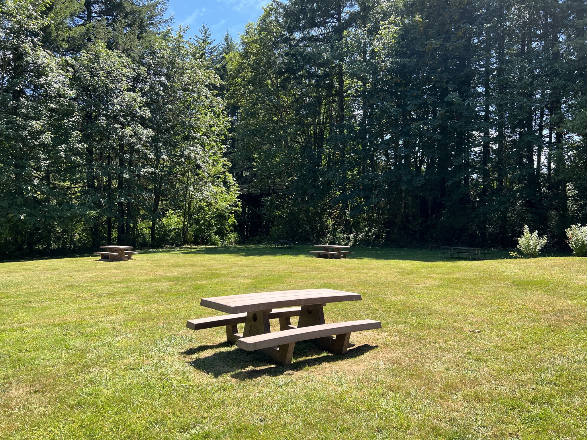 Picnic area