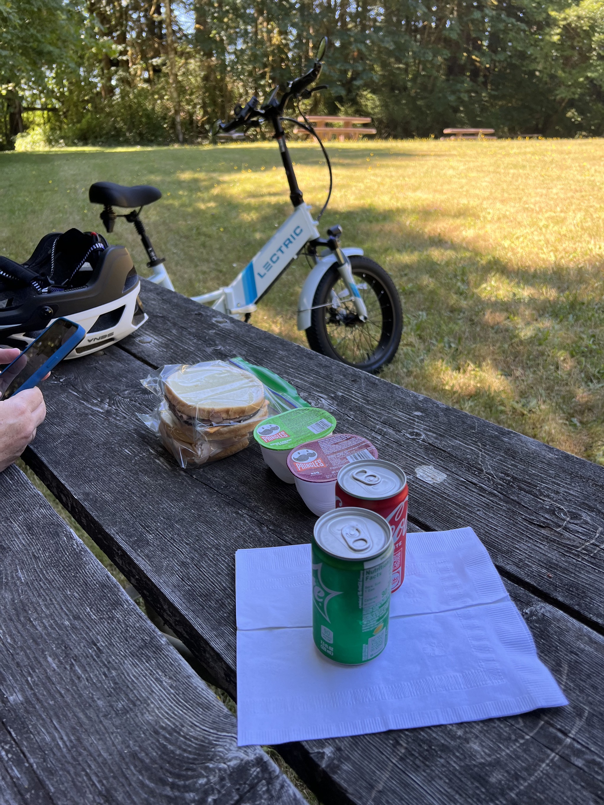 Picnic via bikes