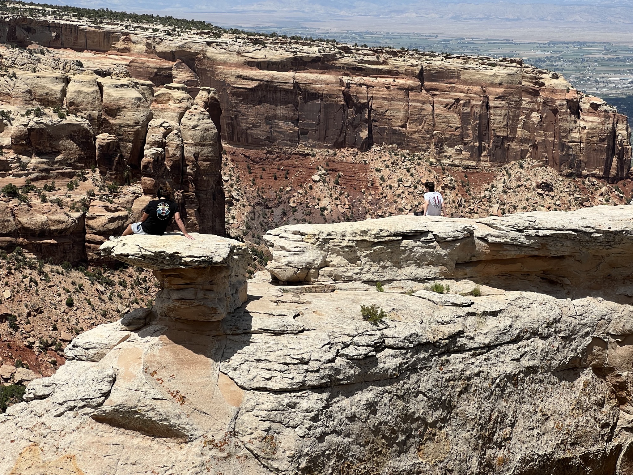 Morons and rocks