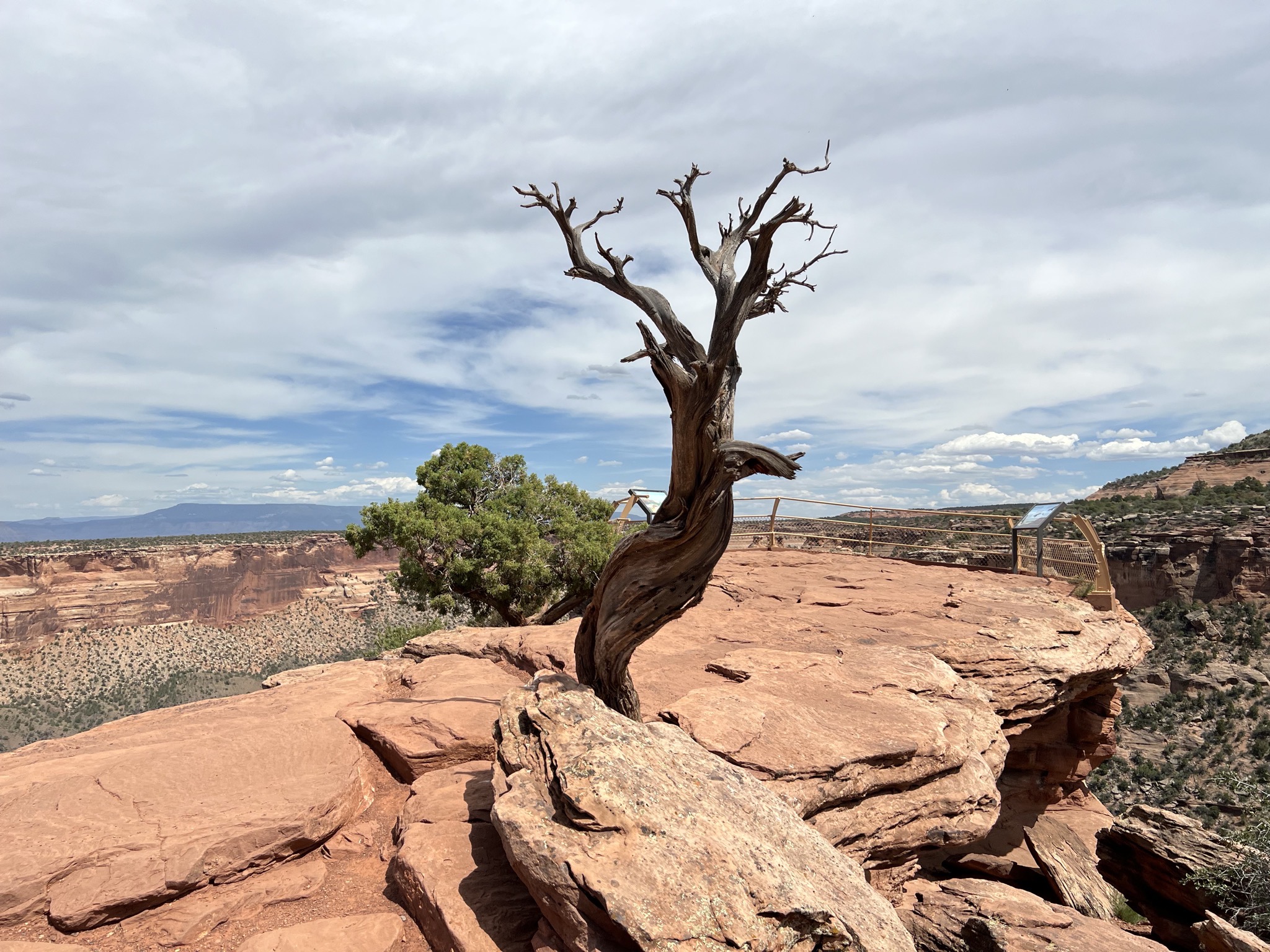 Viewpoint