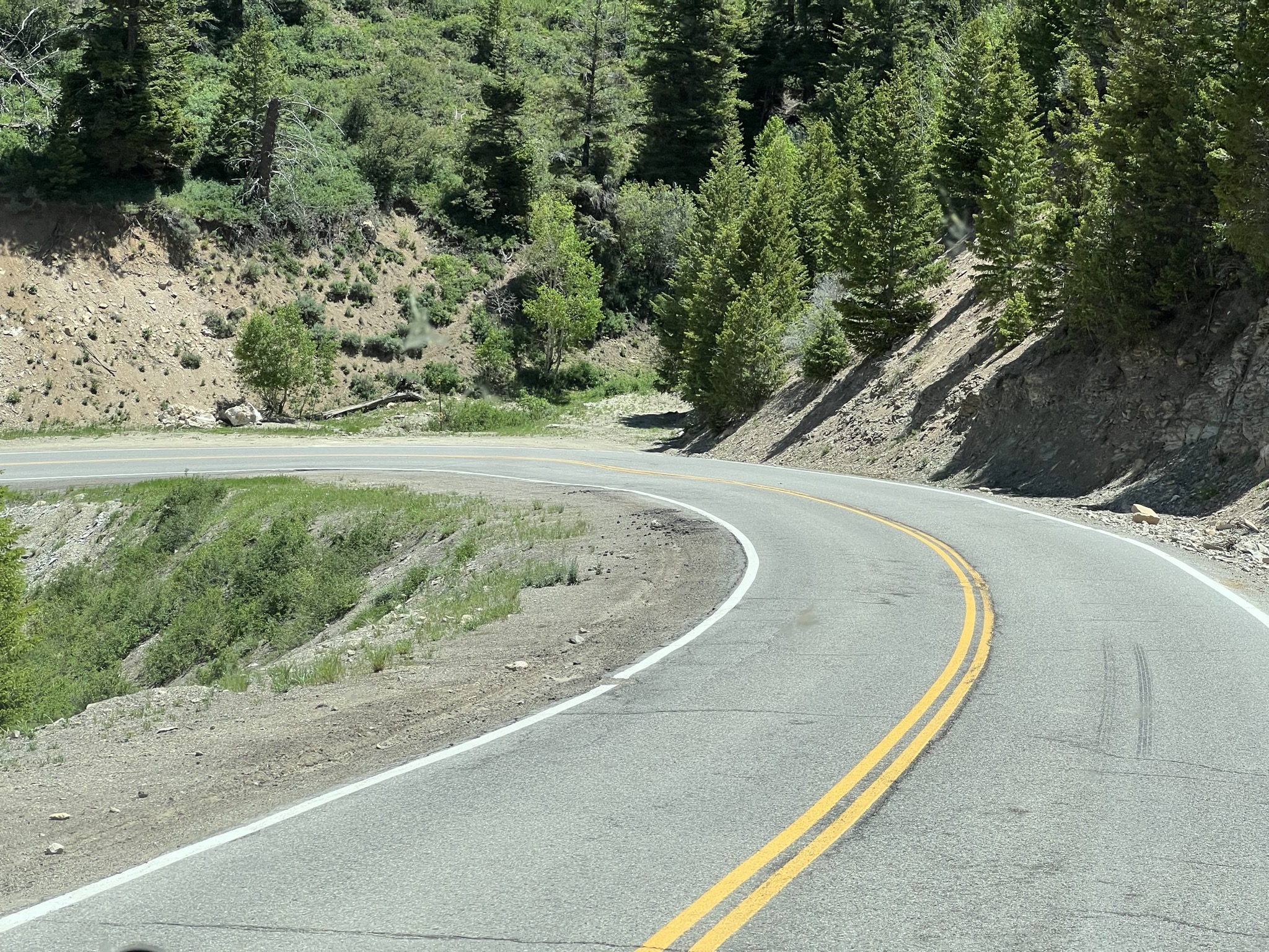 Curve