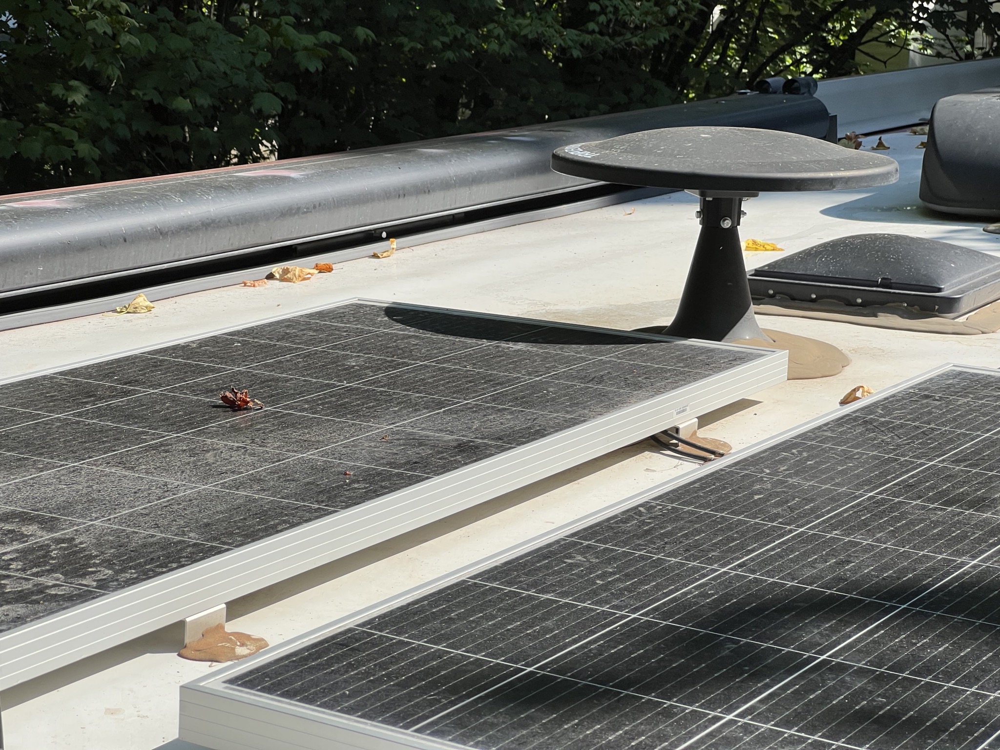 Roof