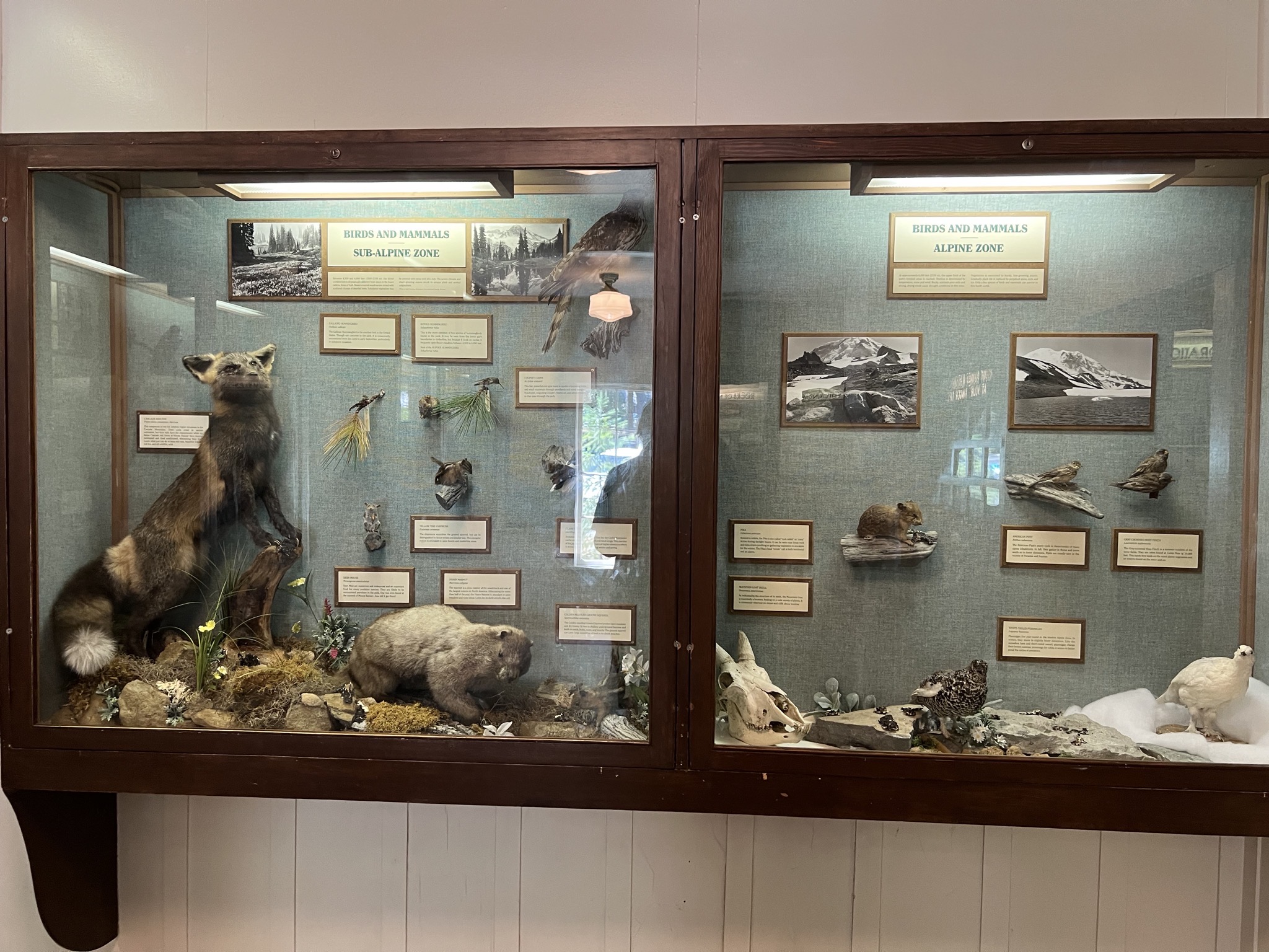 Museum