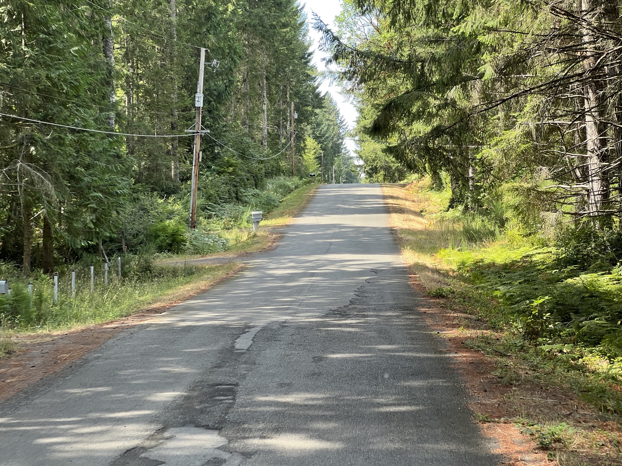 Narrow road