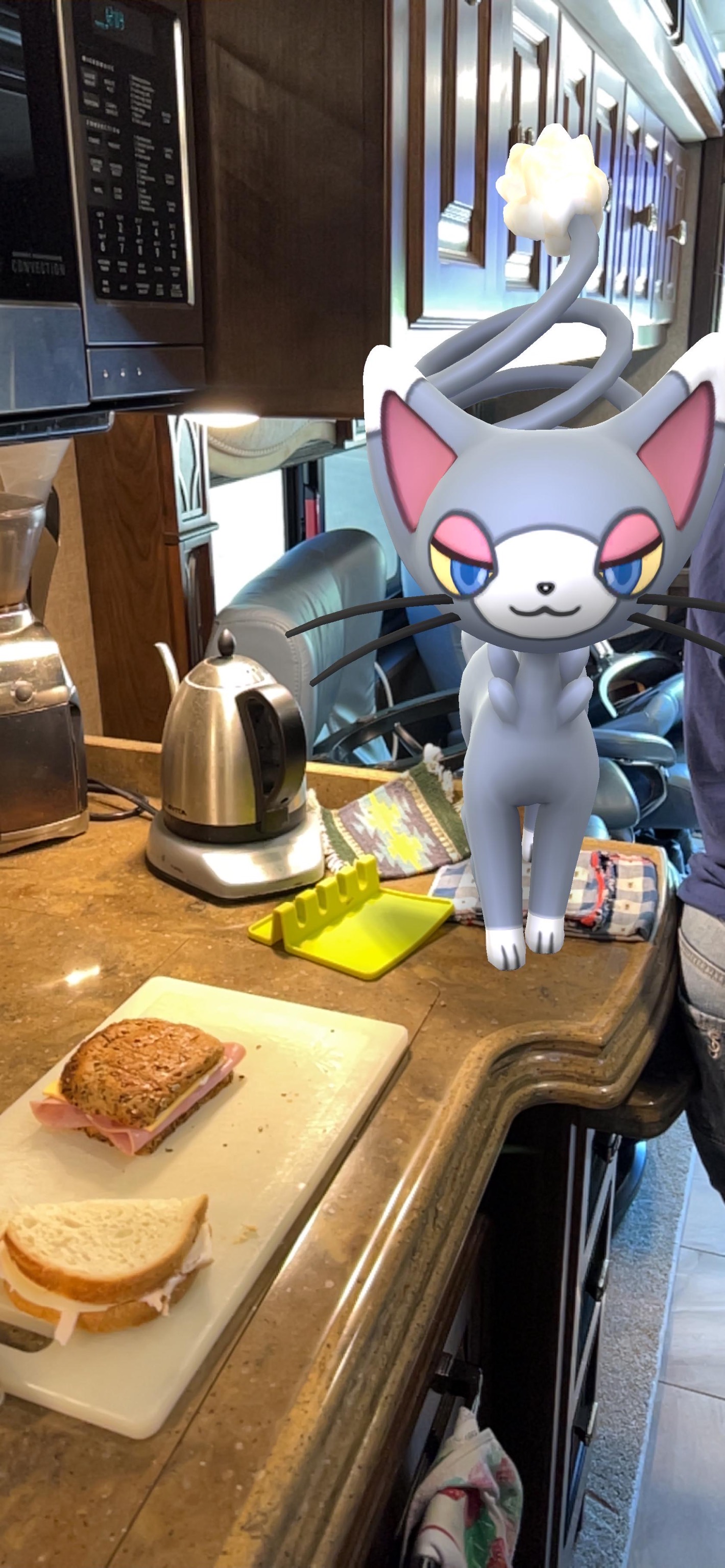 Lunch with Pokémon