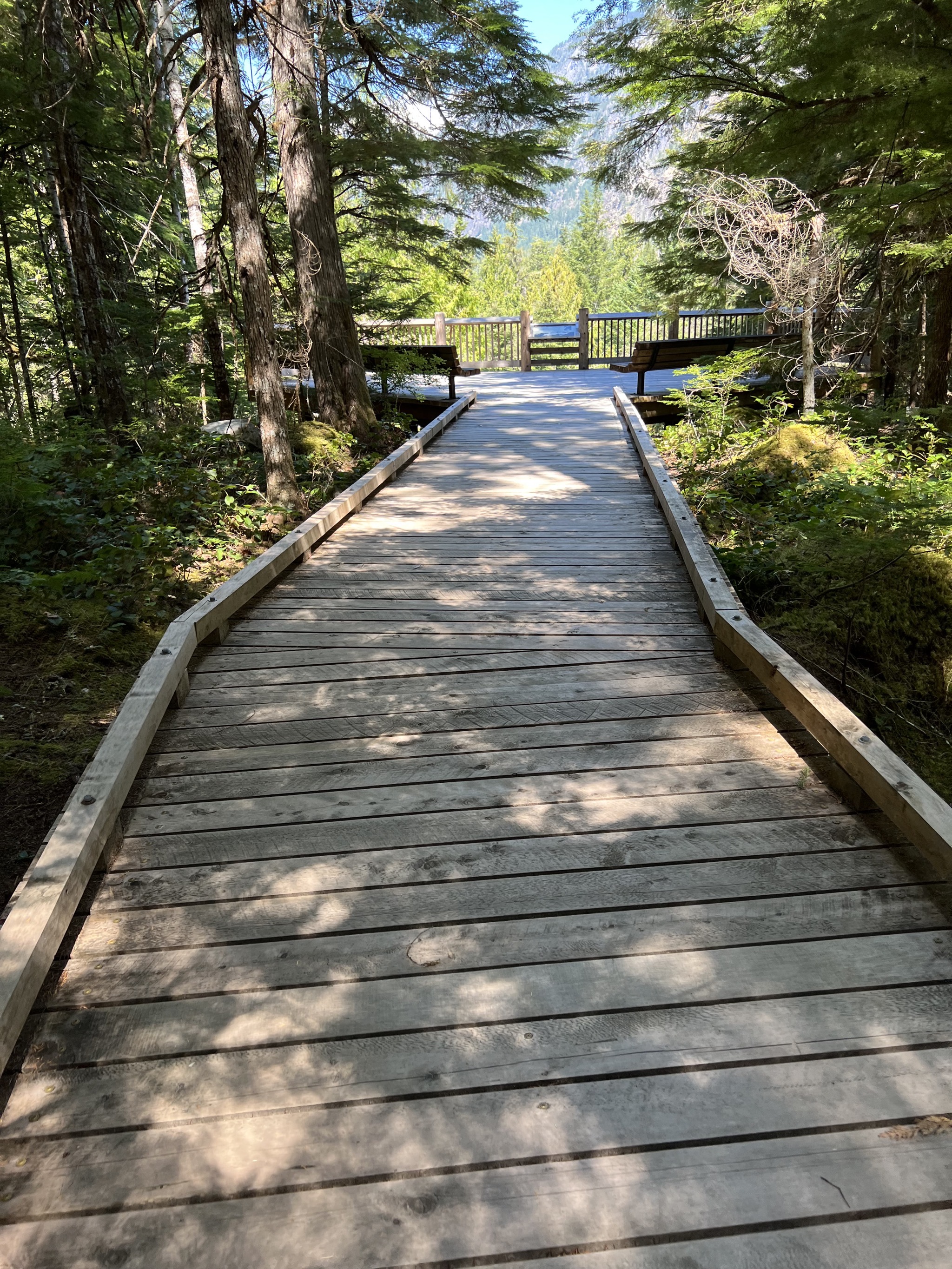 Boardwalk to viewpoint