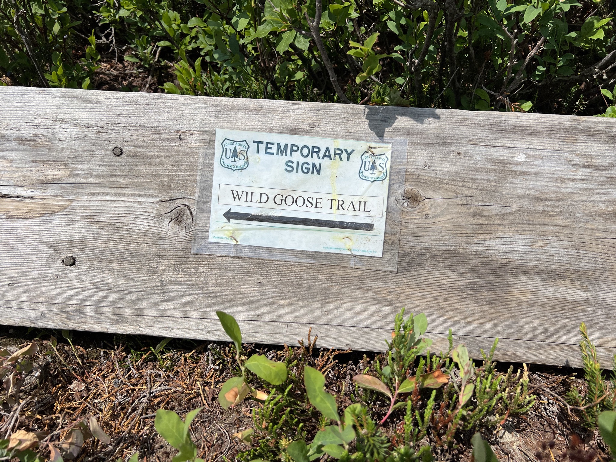 Wild Goose Trail