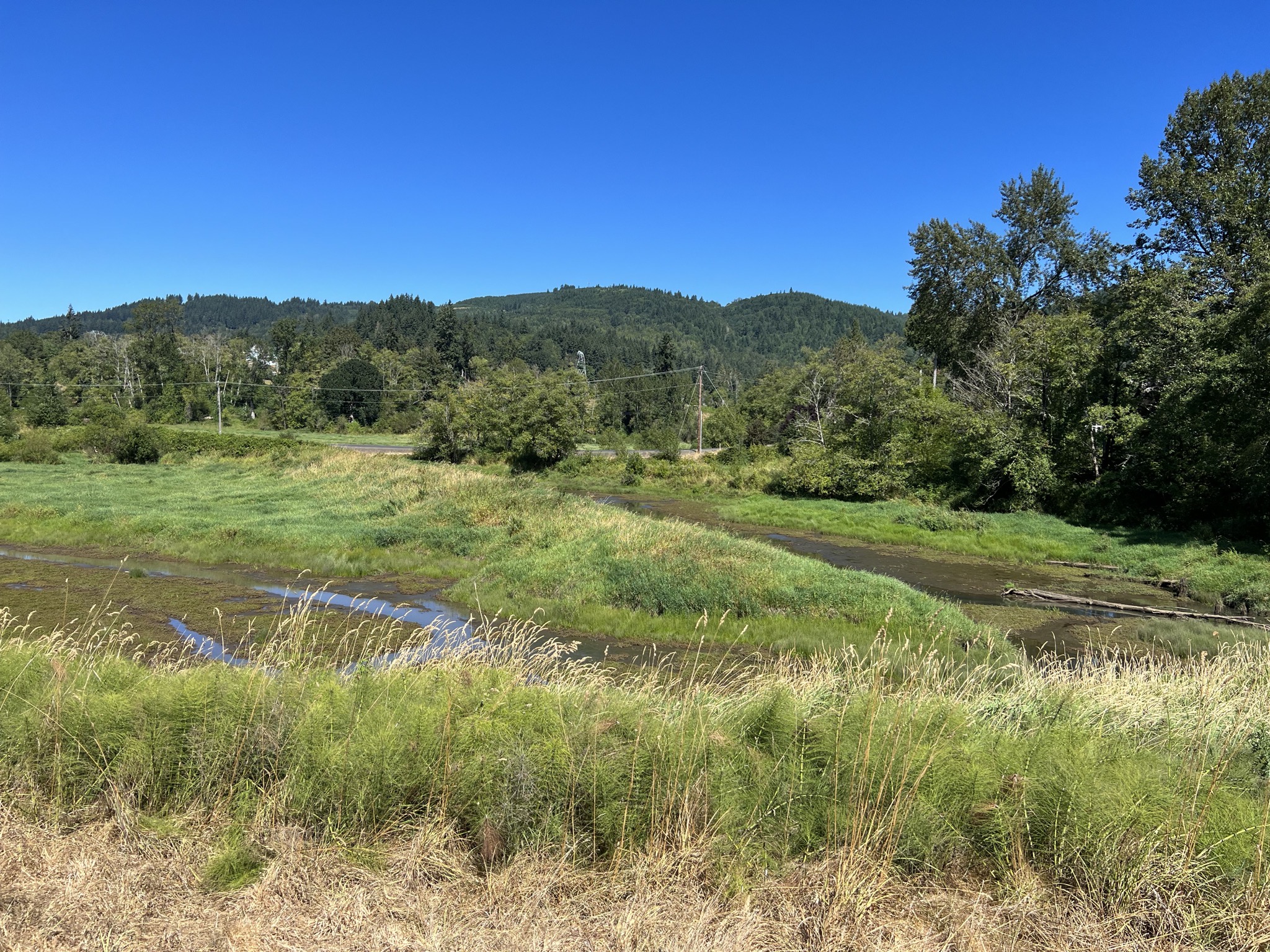 View from dike