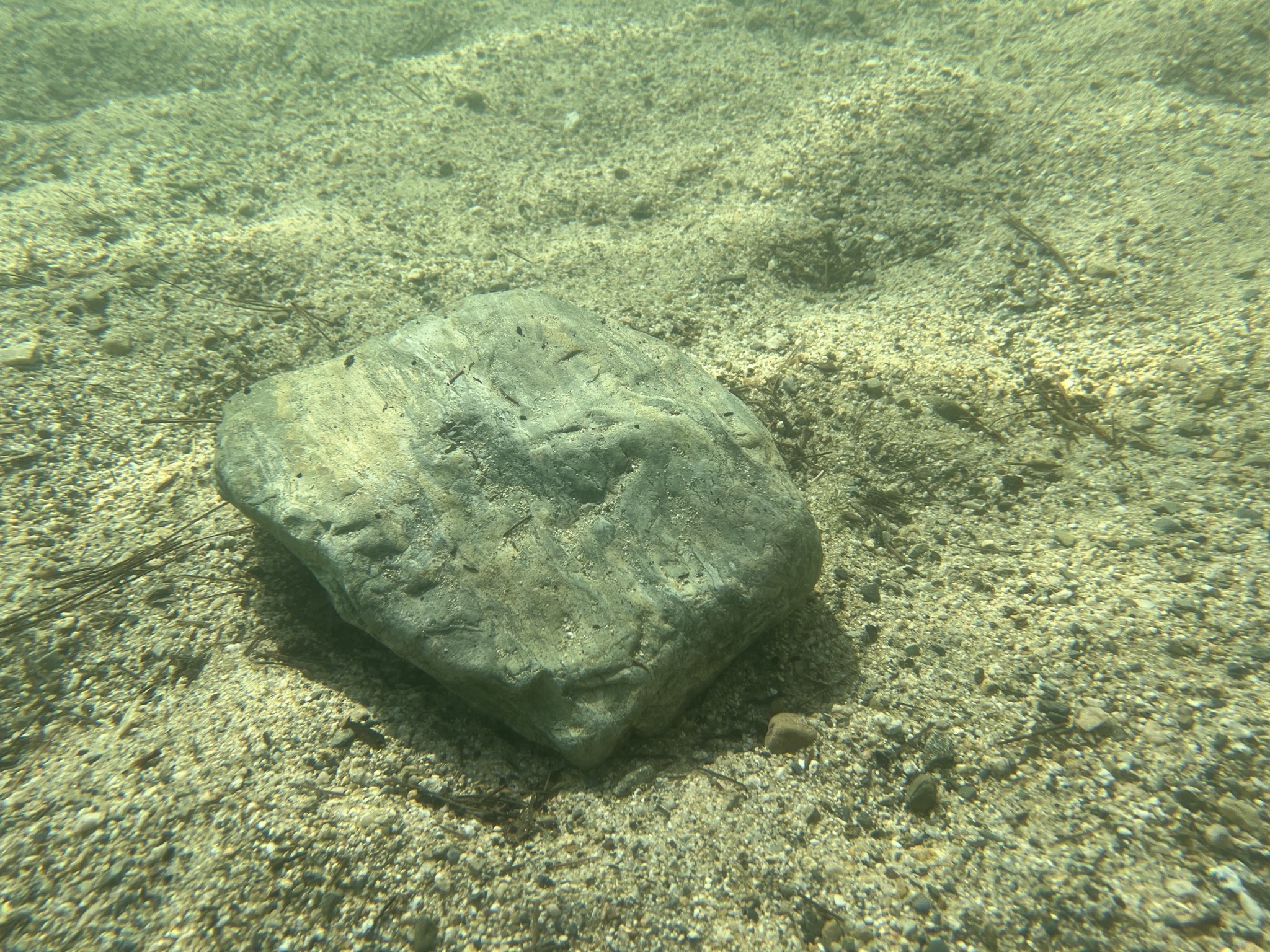 Rock