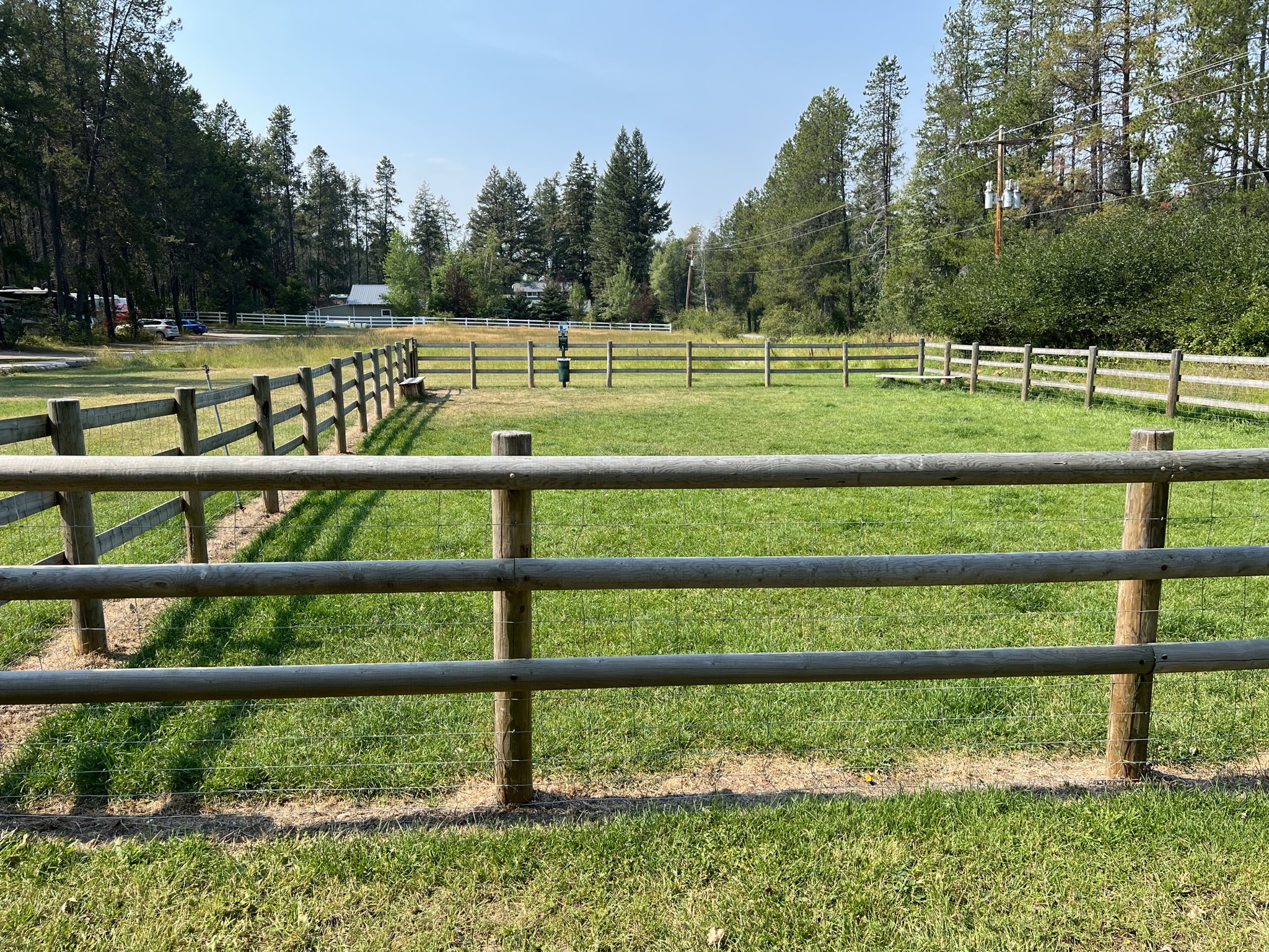 Dog park