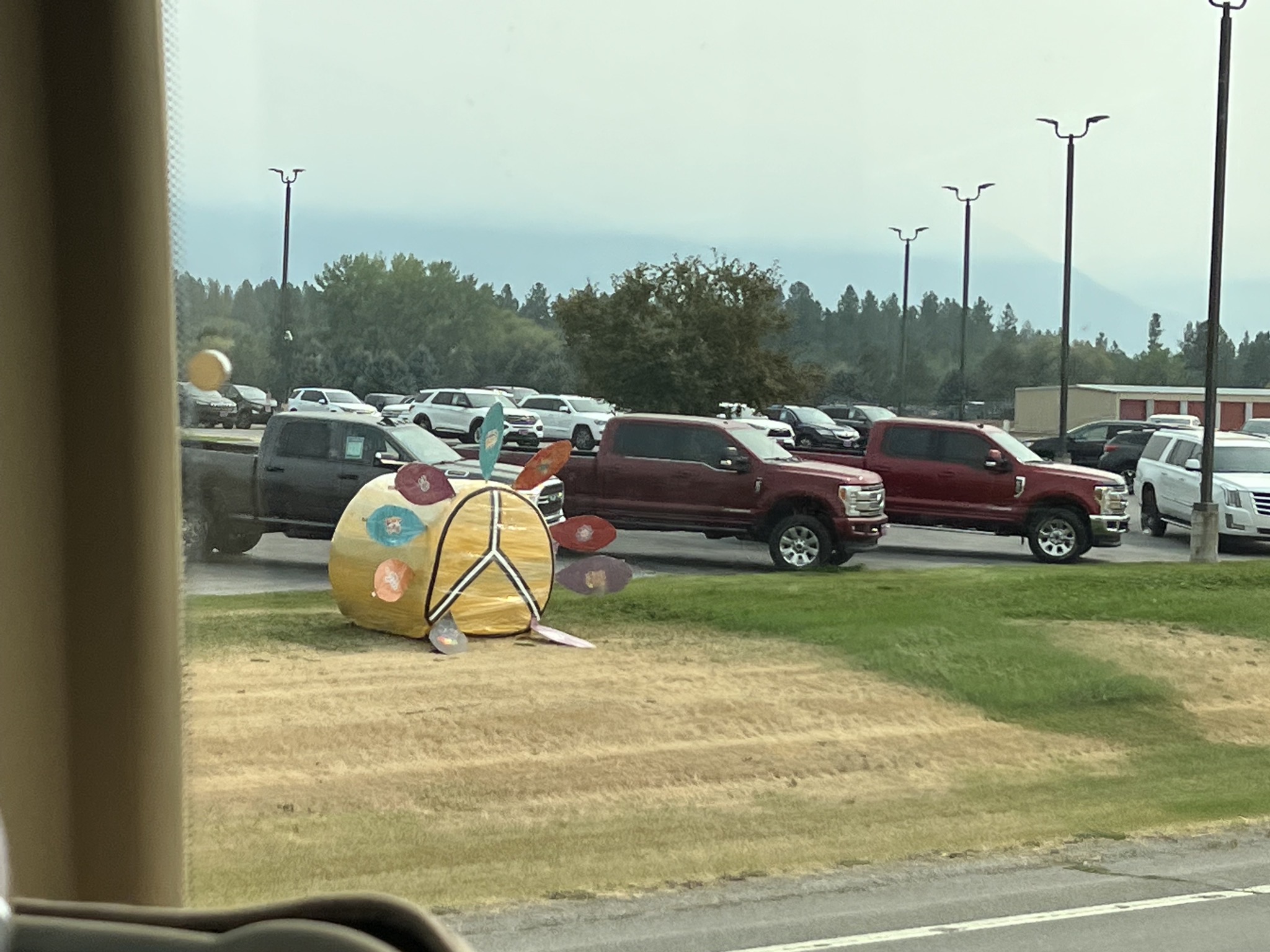 Decorated hay