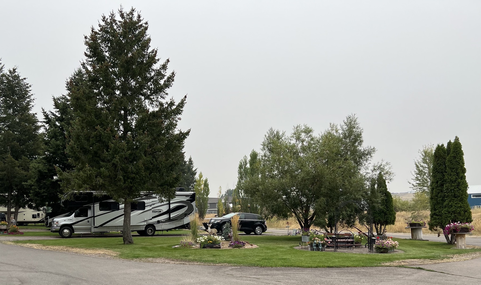 Site we had last year