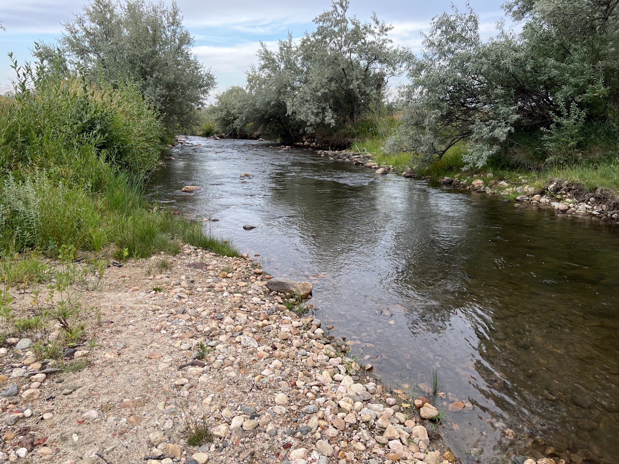 Creek