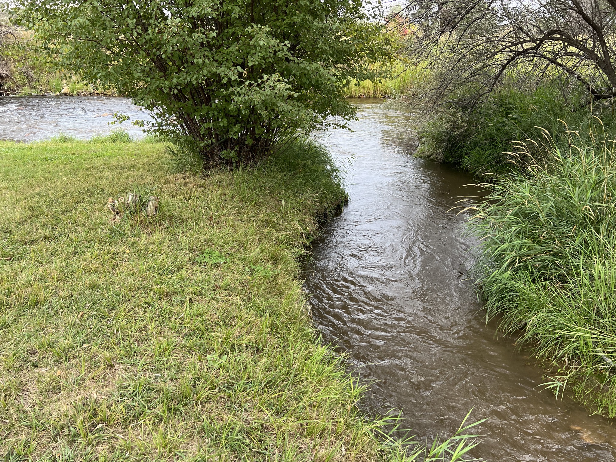 Confluence of creaks