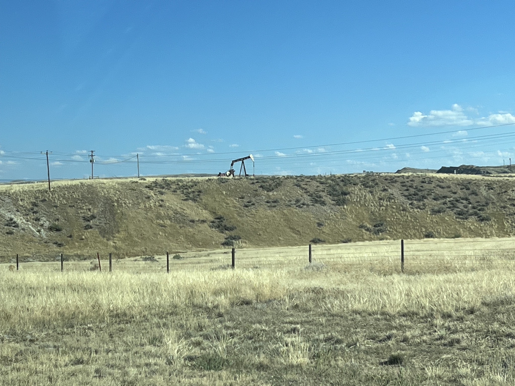 Oil