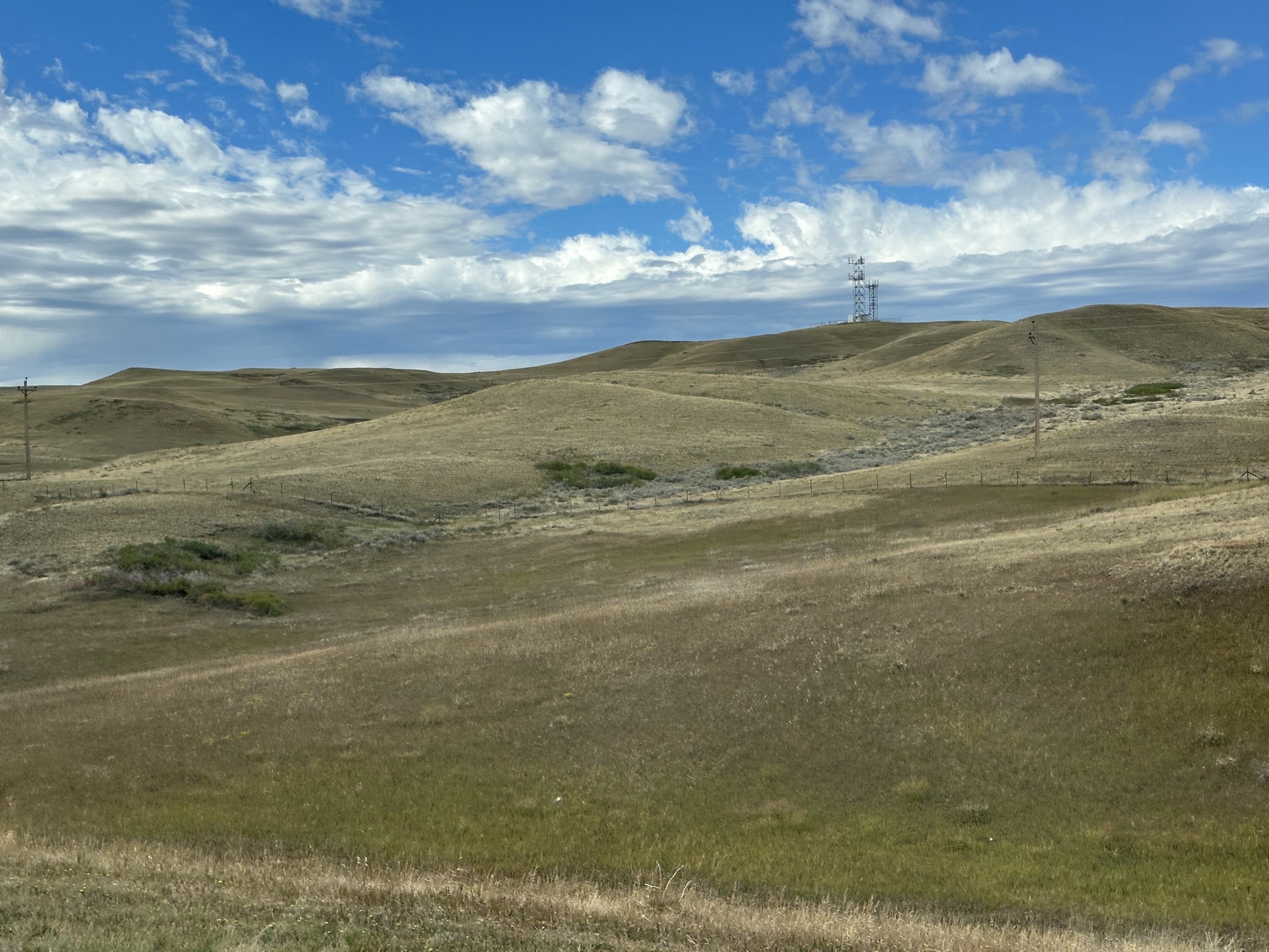 Green hills