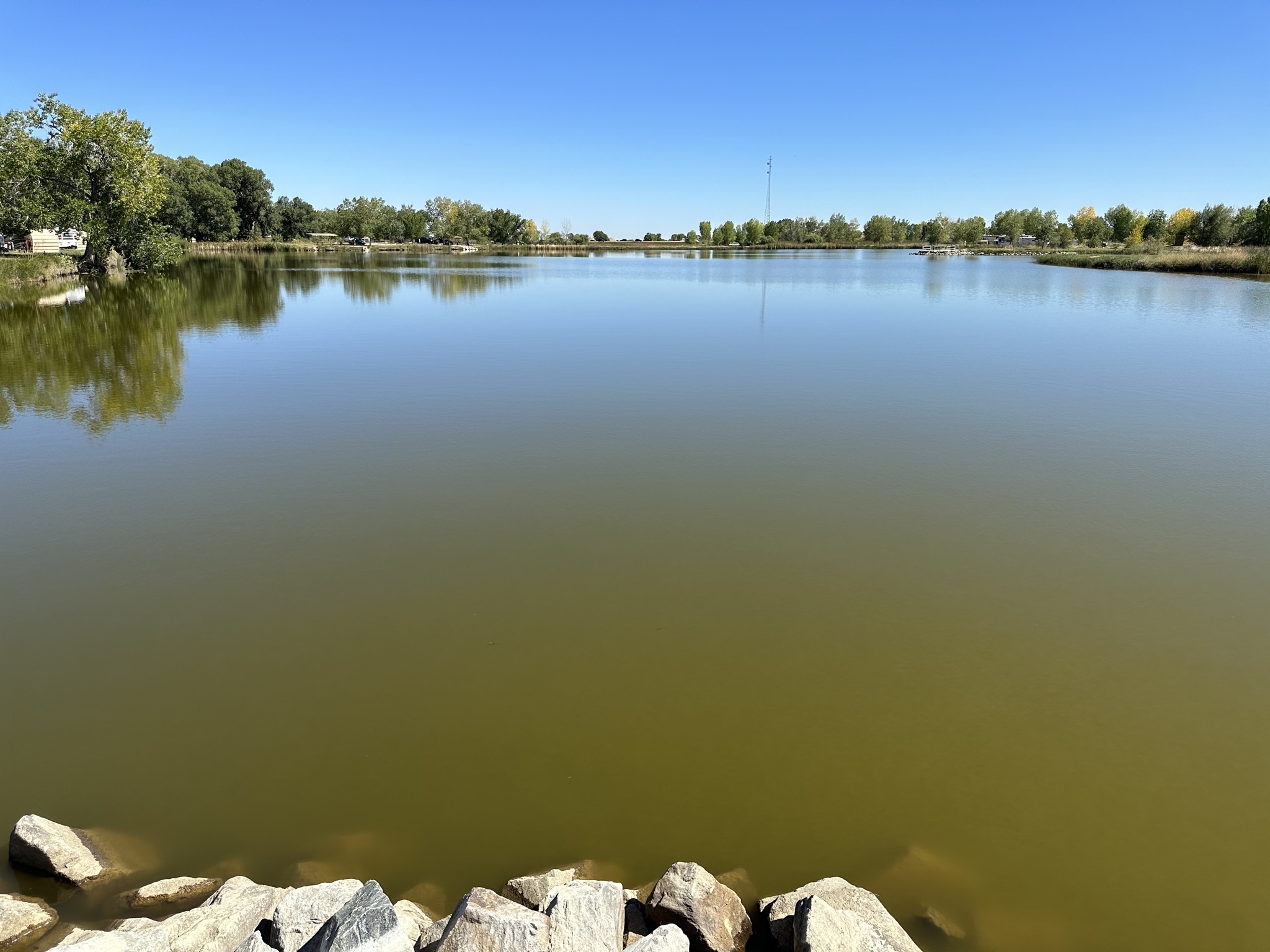 Pond