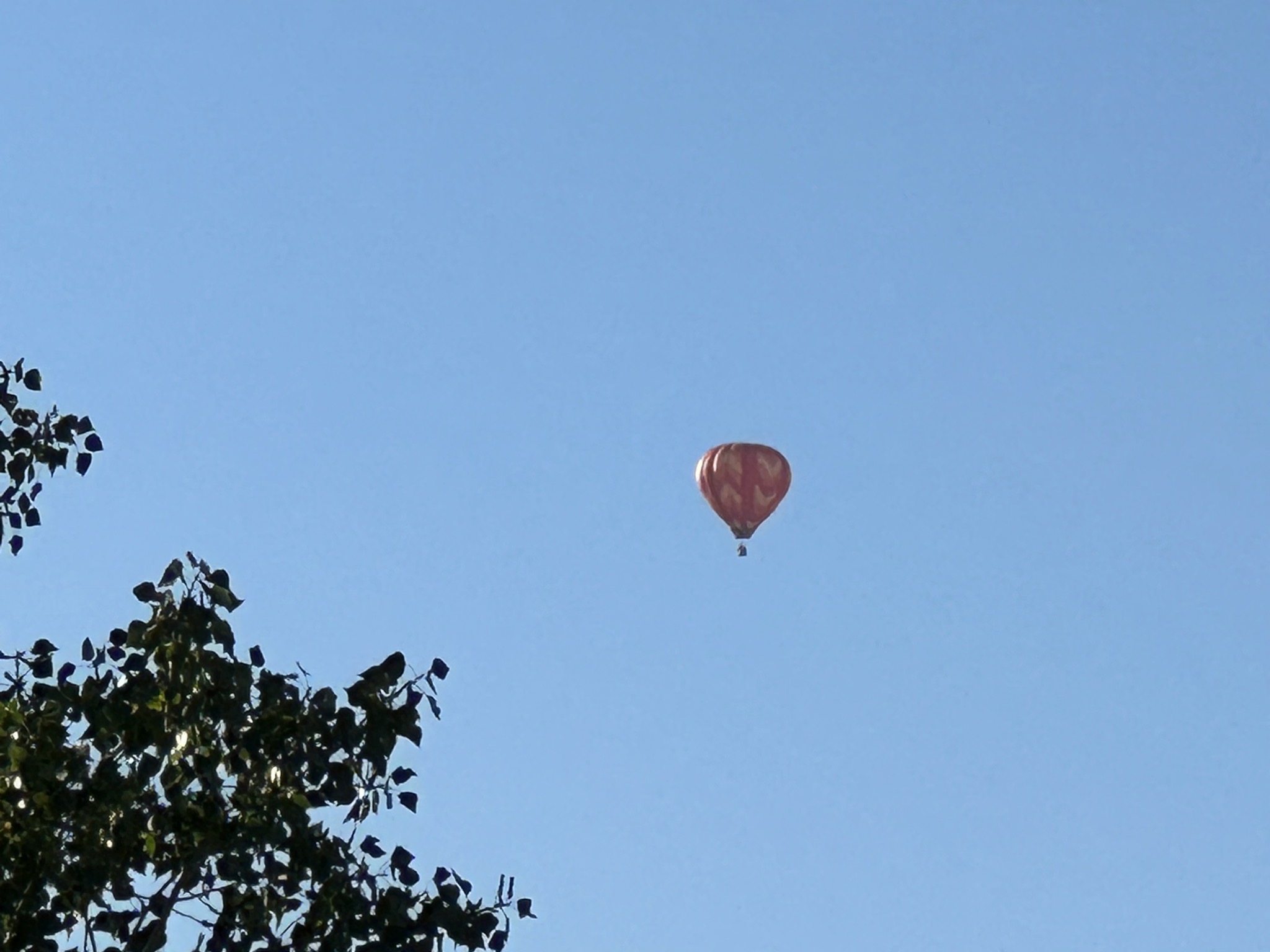 Balloon