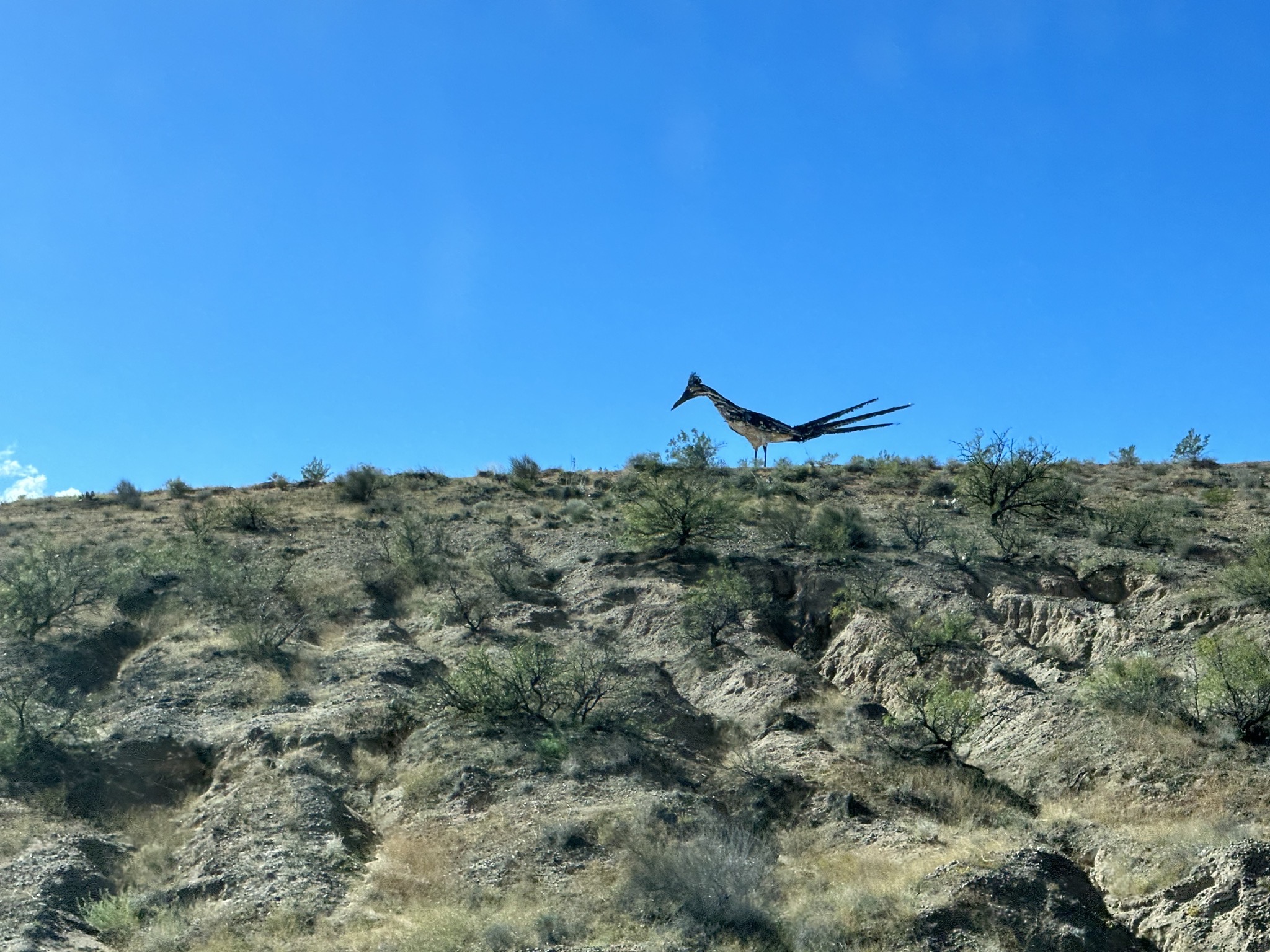 Recycled roadrunner artwork